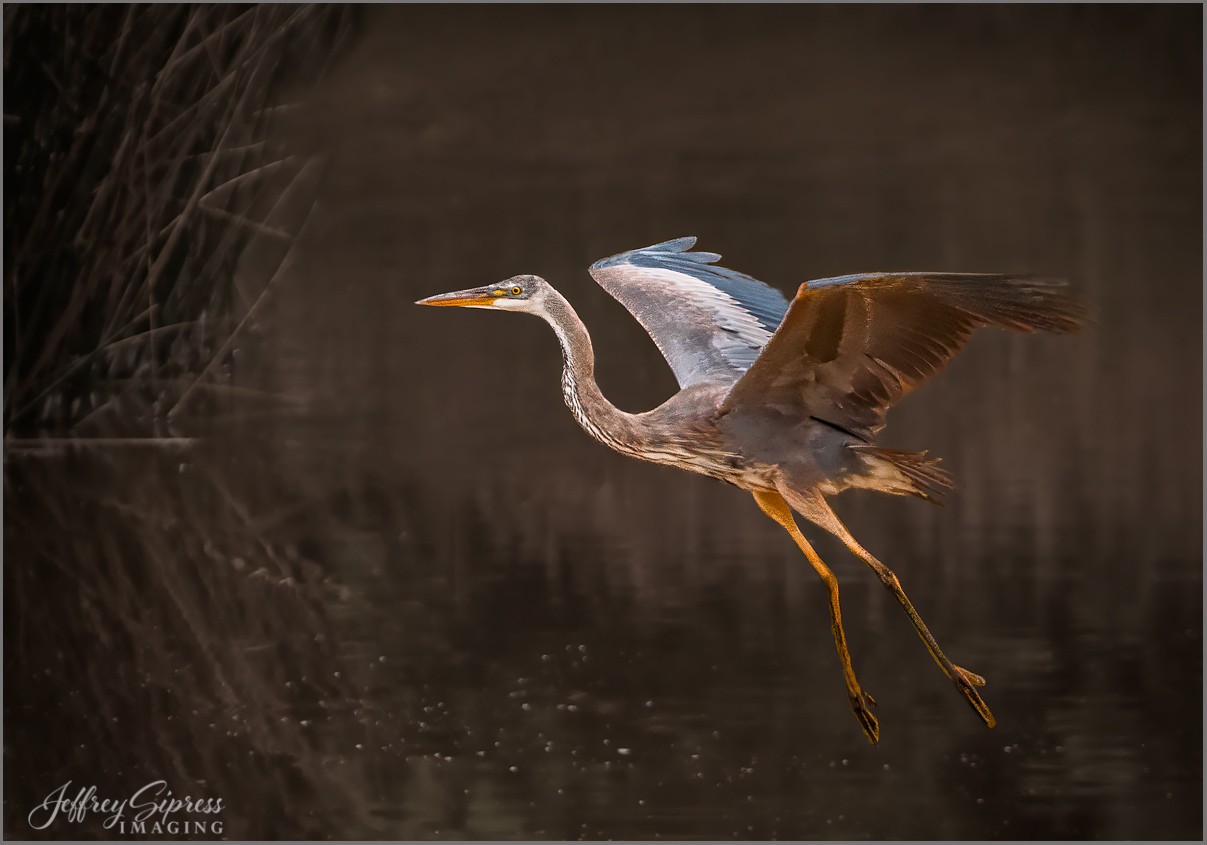 GBH6-25-1.jpg