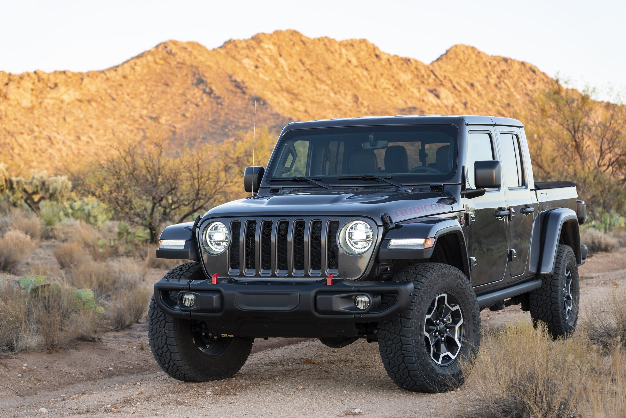 Gladiator on Sierrita Mtn Road.jpg