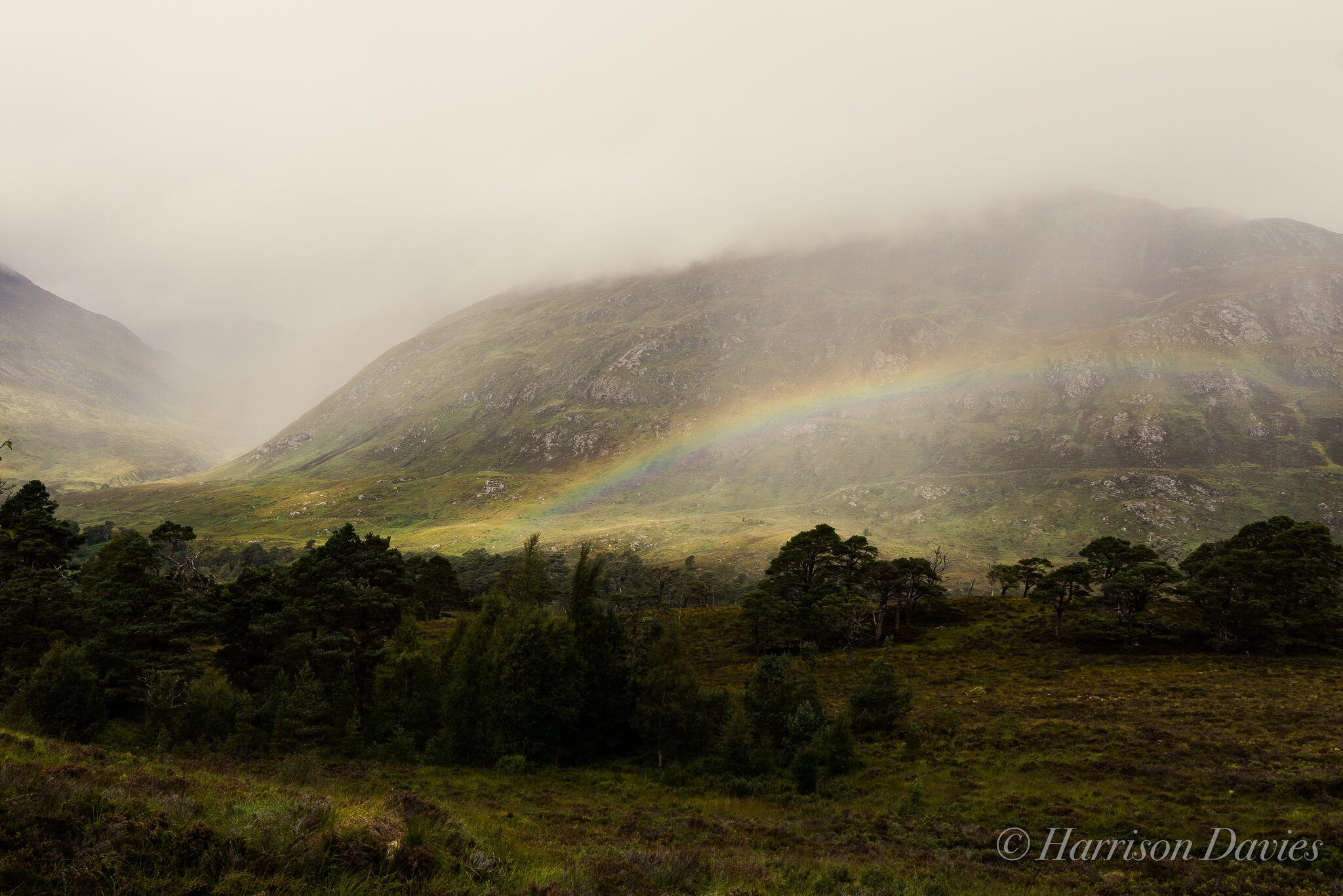 Glen Affric Loch - Scotland.