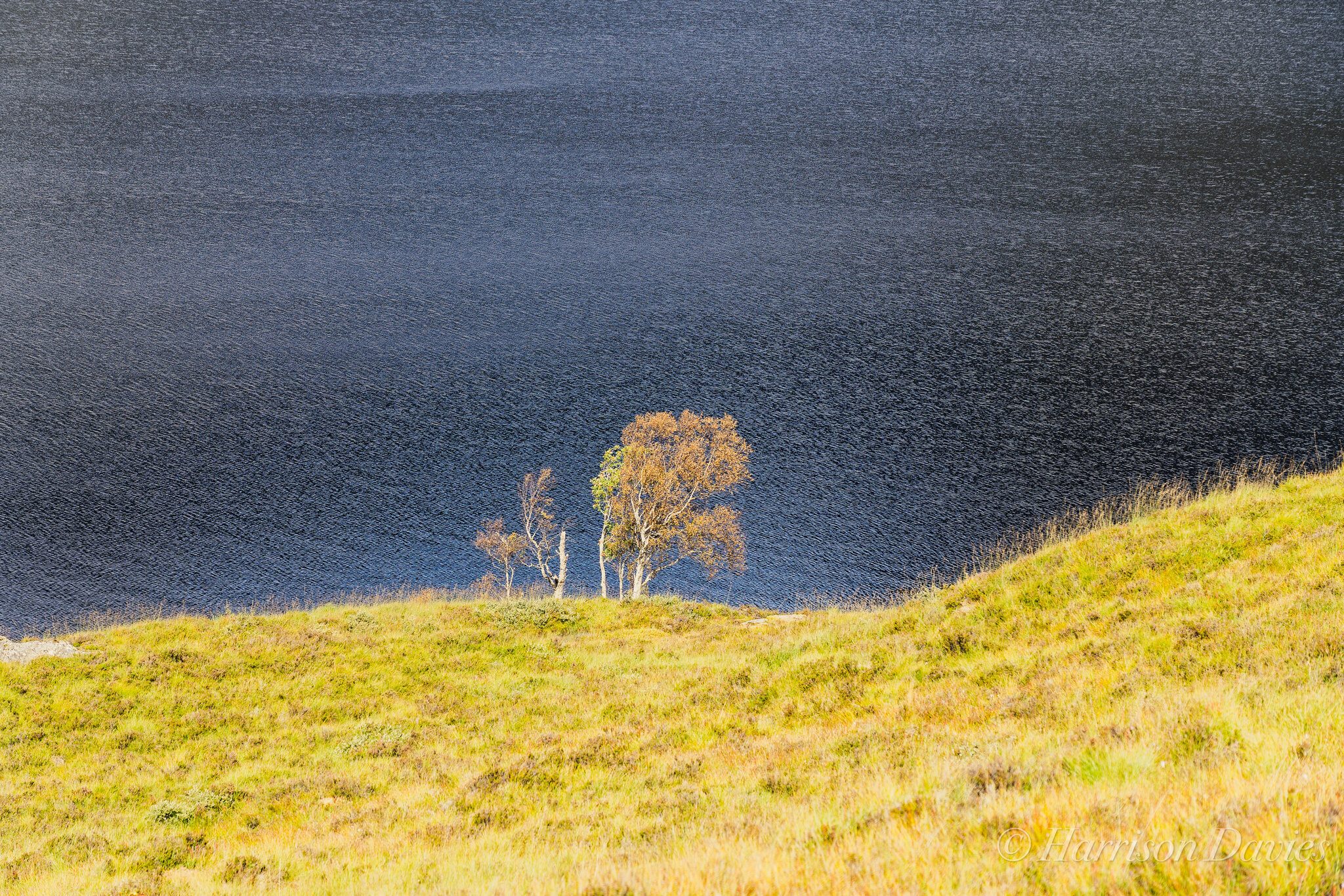 Glen Affric Loch - Scotland.