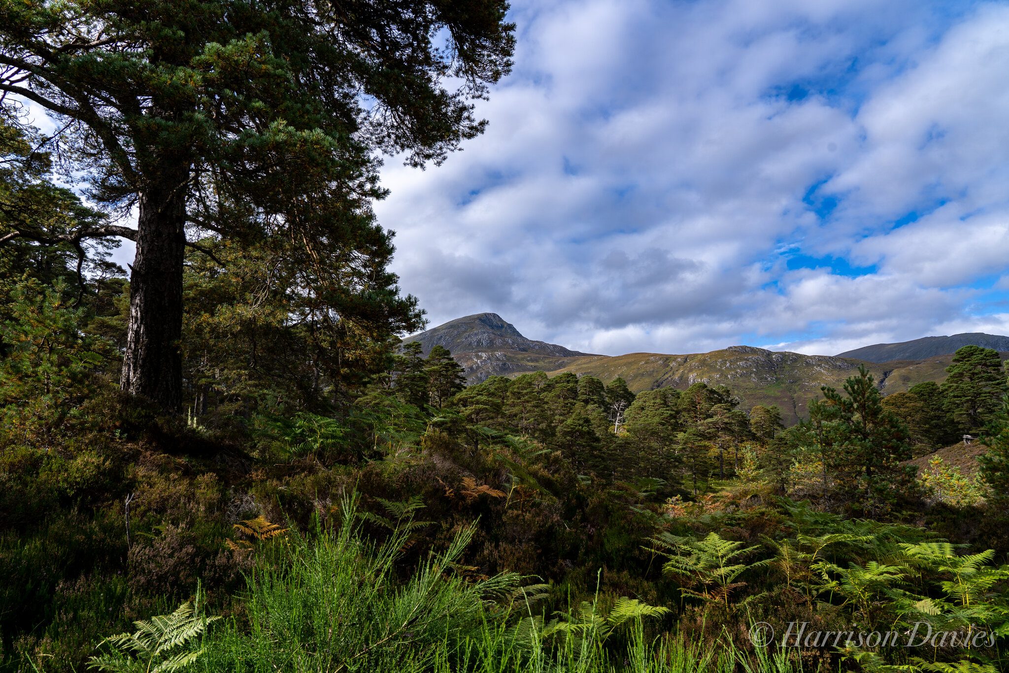 Glen Affric Loch - Scotland.