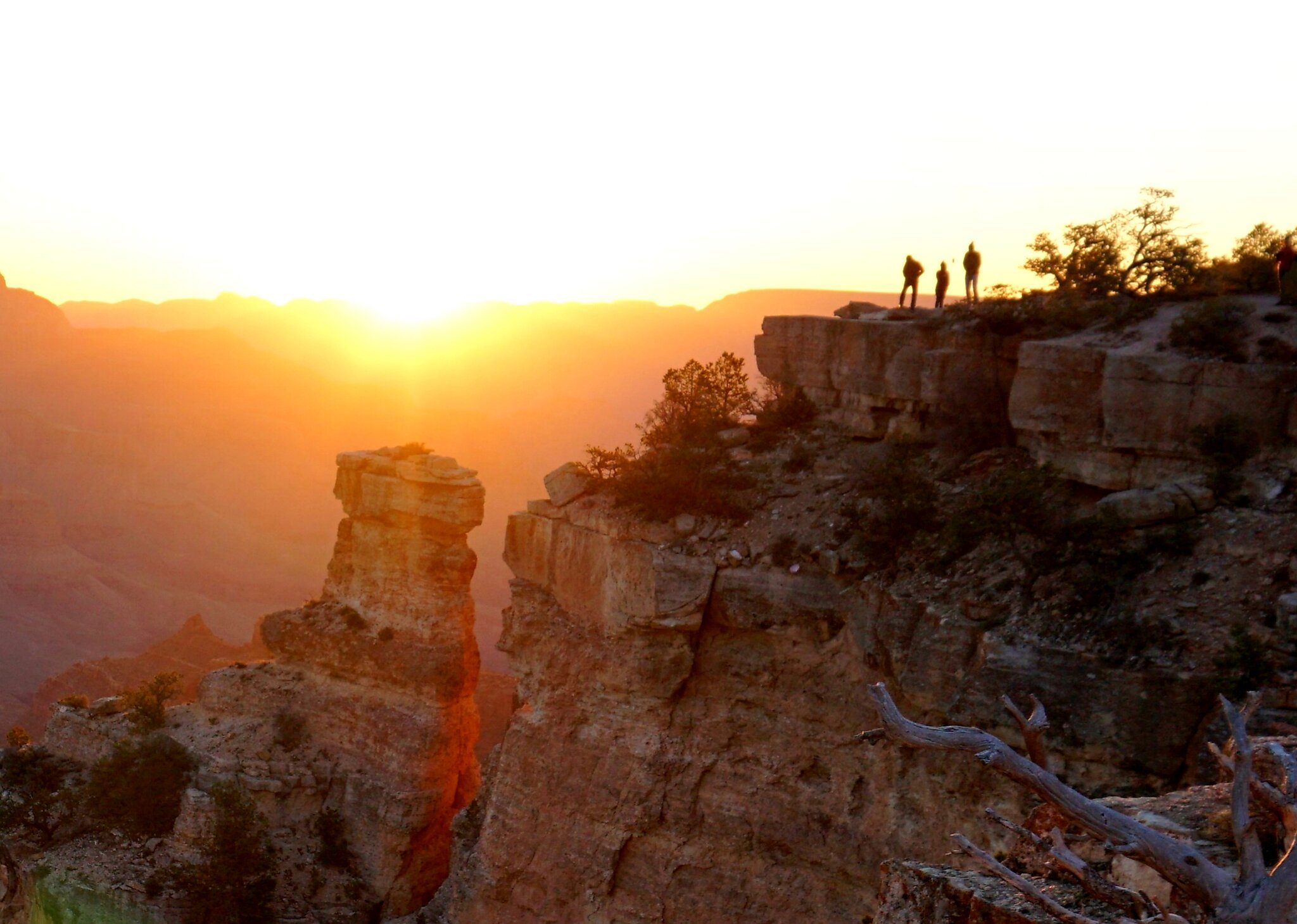 Grand Canyon Observers