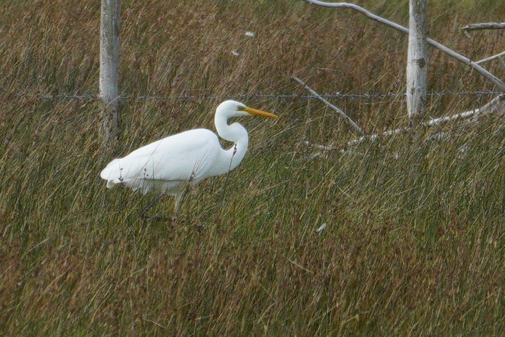 greategret.jpg