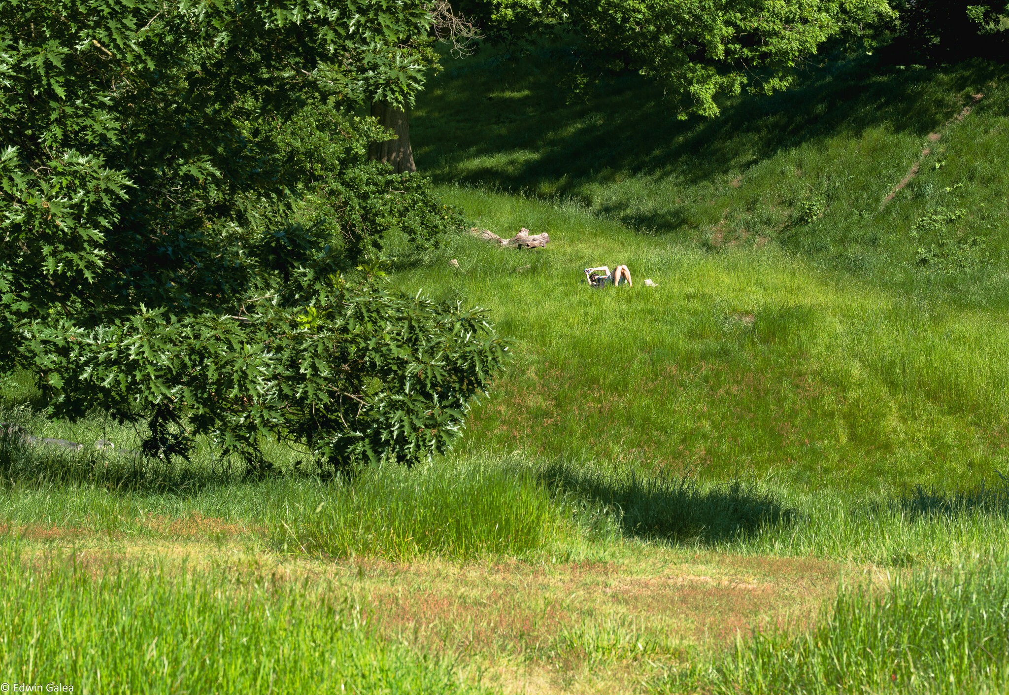 greenwich park-3.jpg