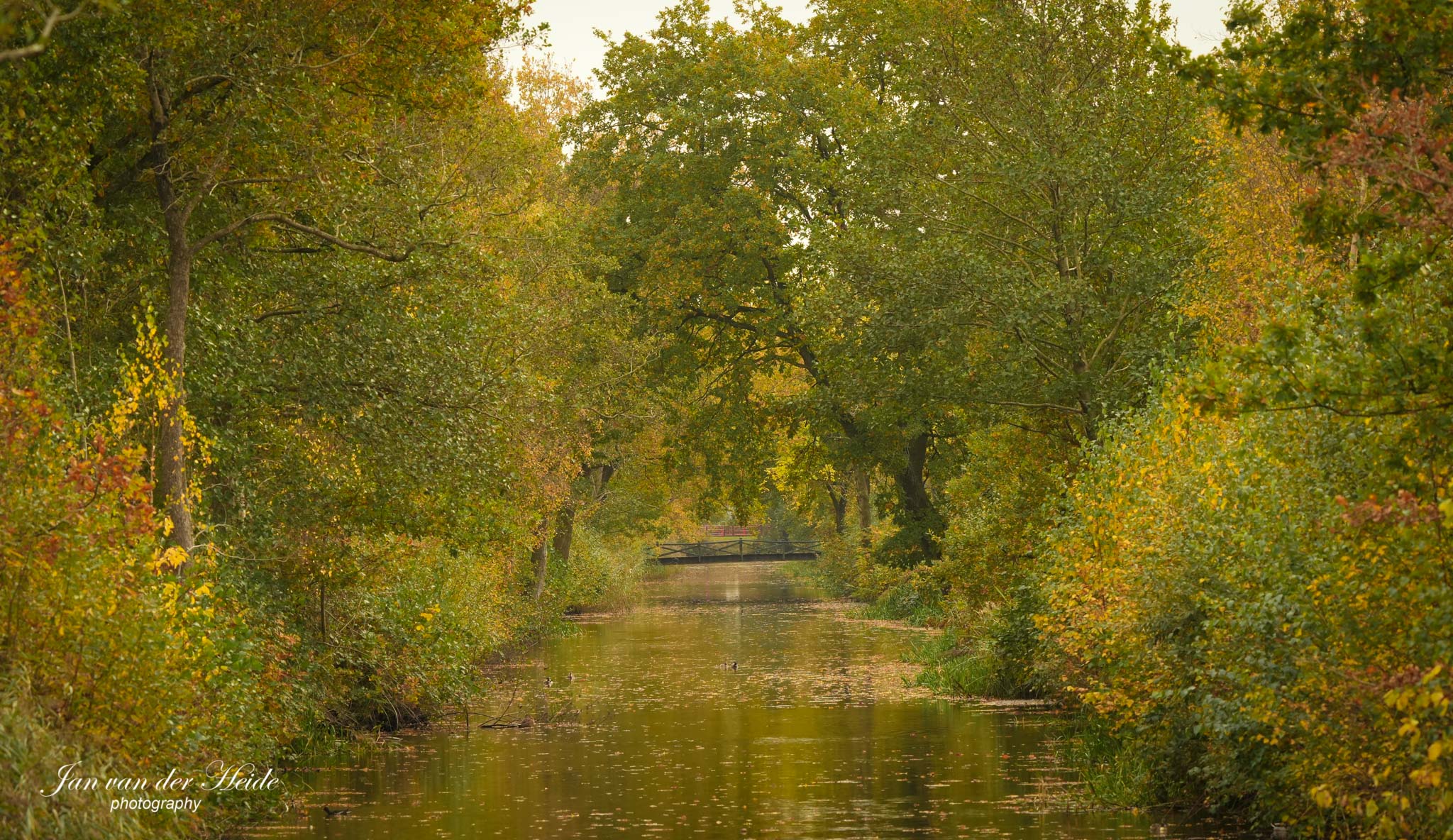 Herfst.jpg