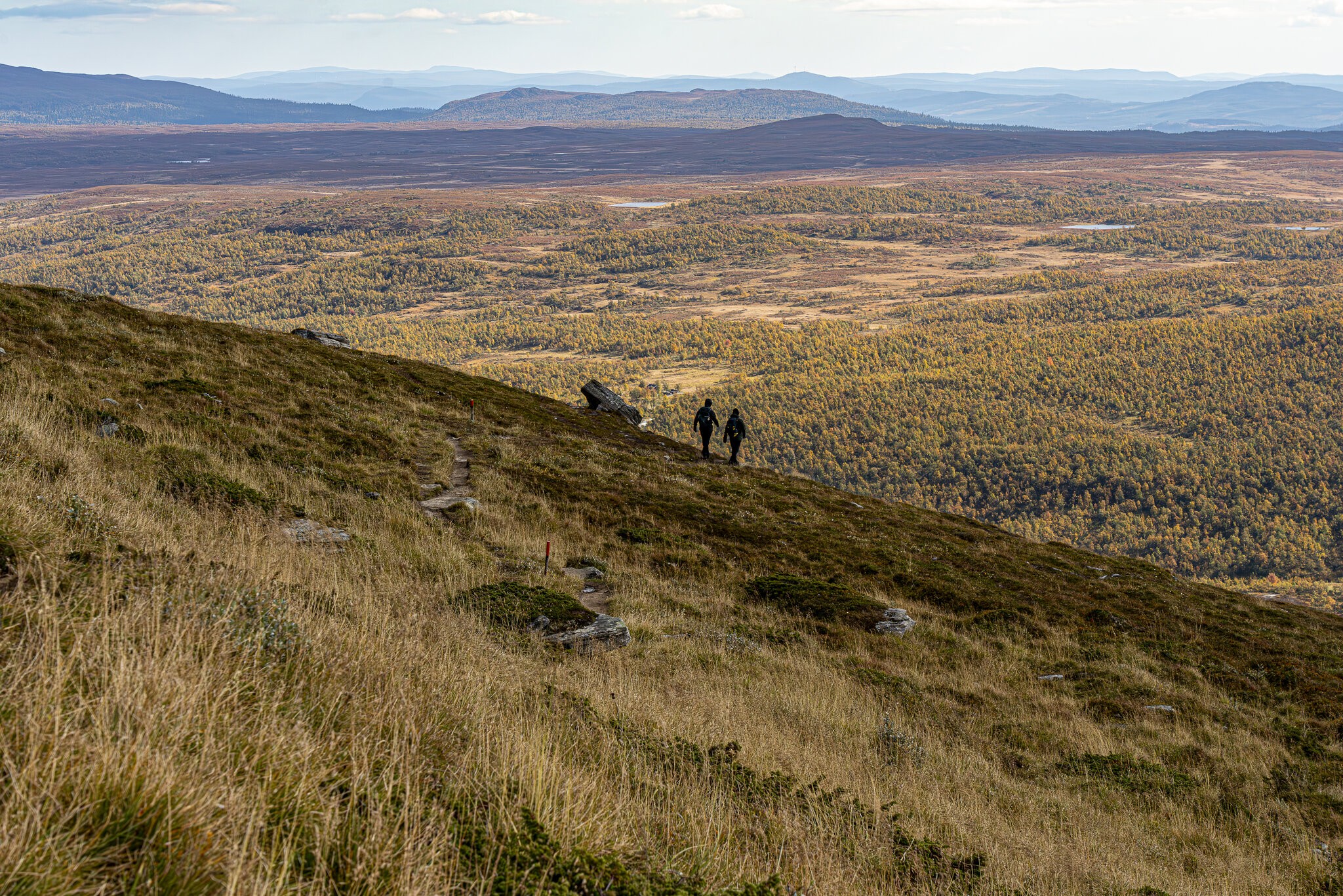 Hiking Funäsdalen.jpg