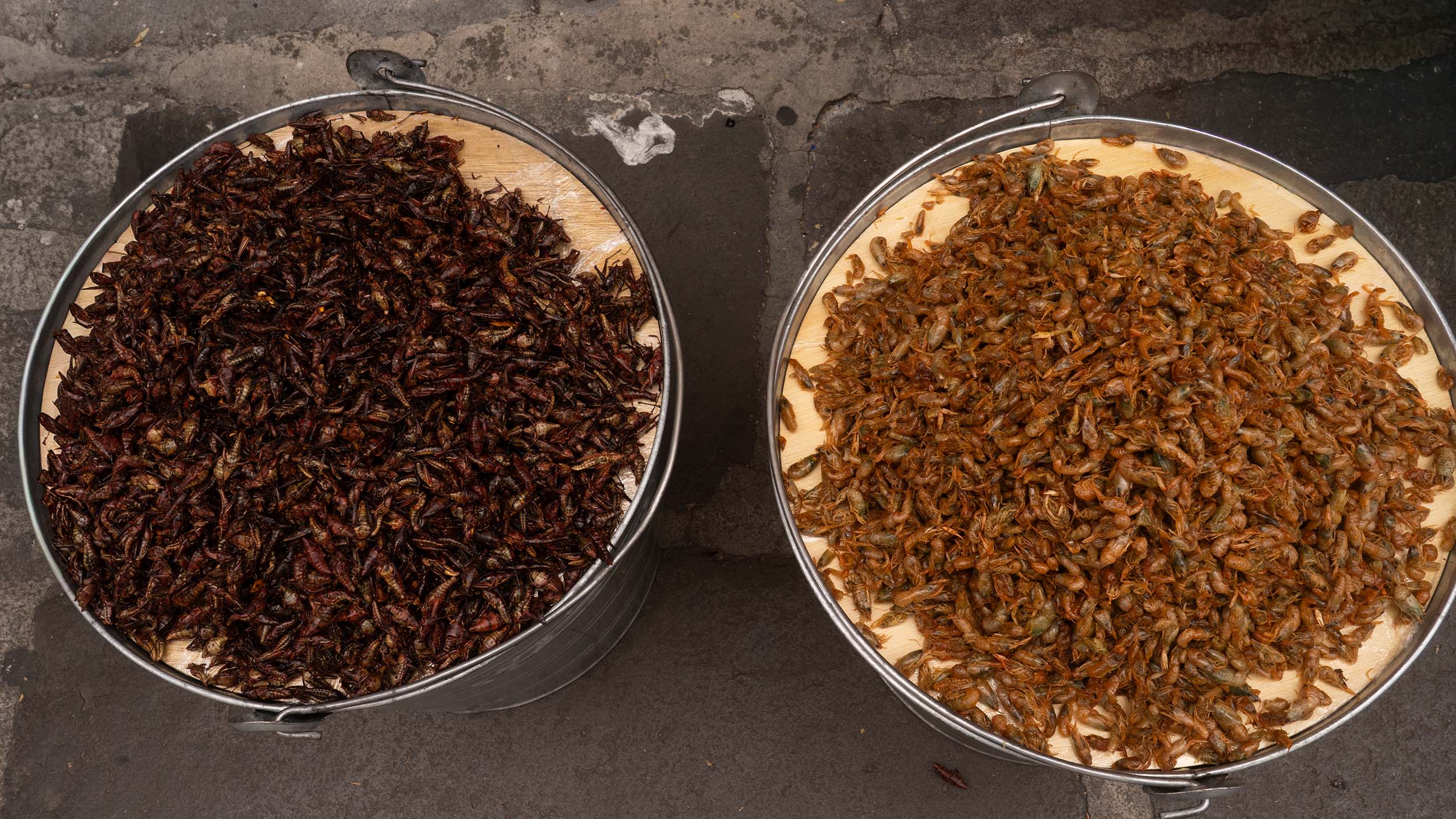 Hummmm grasshoppers and crickets for lunch in Puebla,Mexico