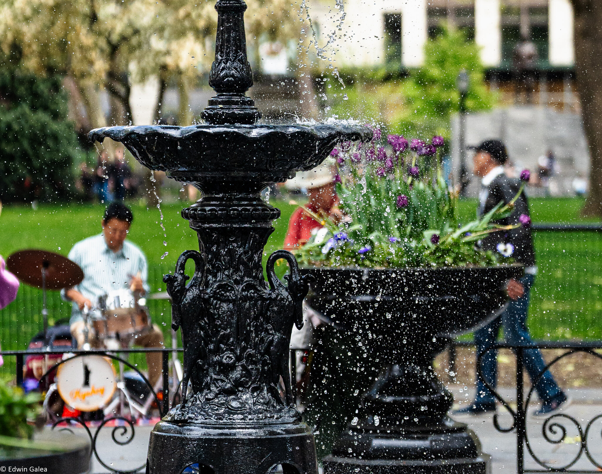 jazz_madison_square_park-2.jpg