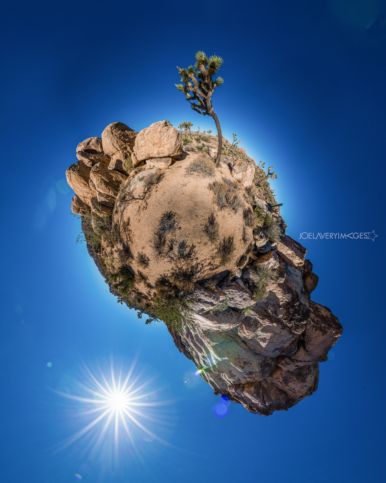 Joshua Tree 2016 - 360 degree "little planet" panorama