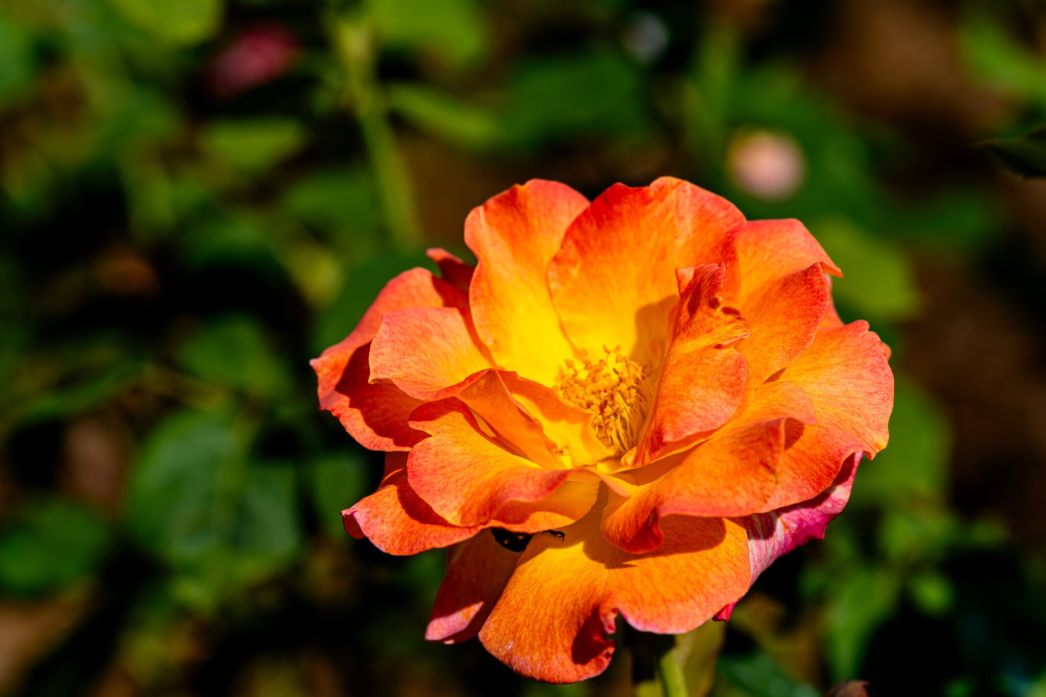 JRV02971-ARW.jpg