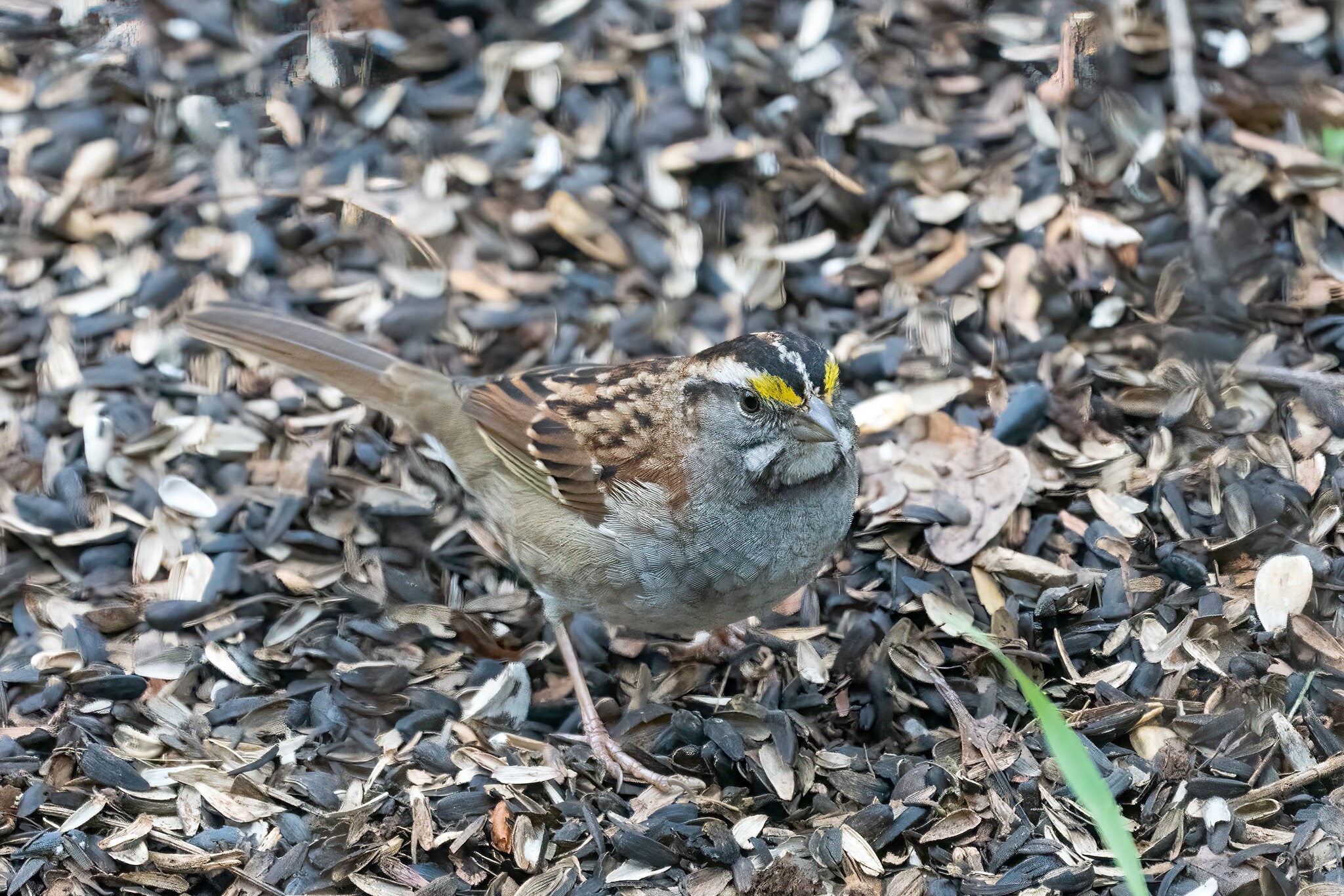 JRV07892-Edit.jpg