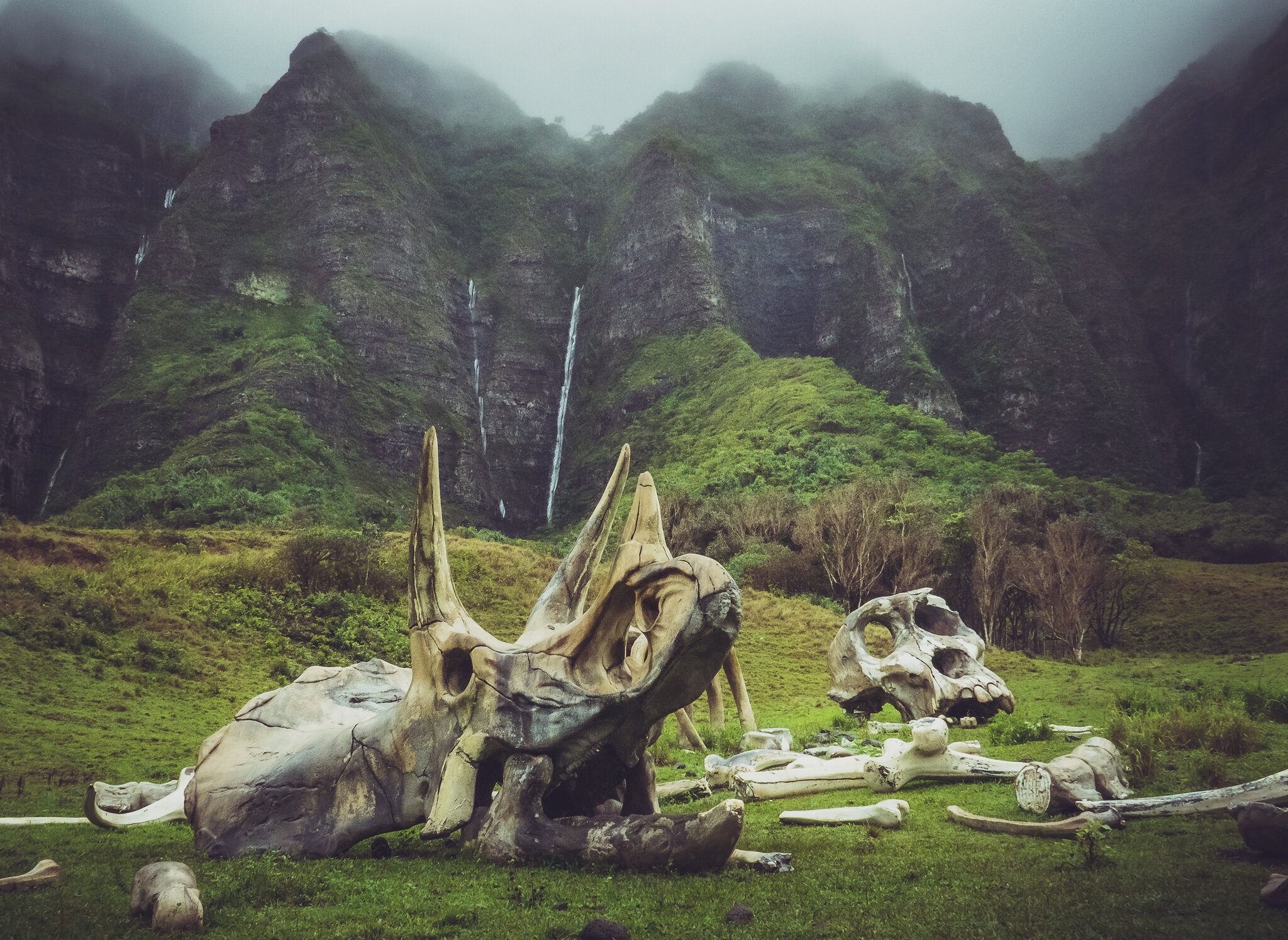 Kualoa 3-21-21.jpg