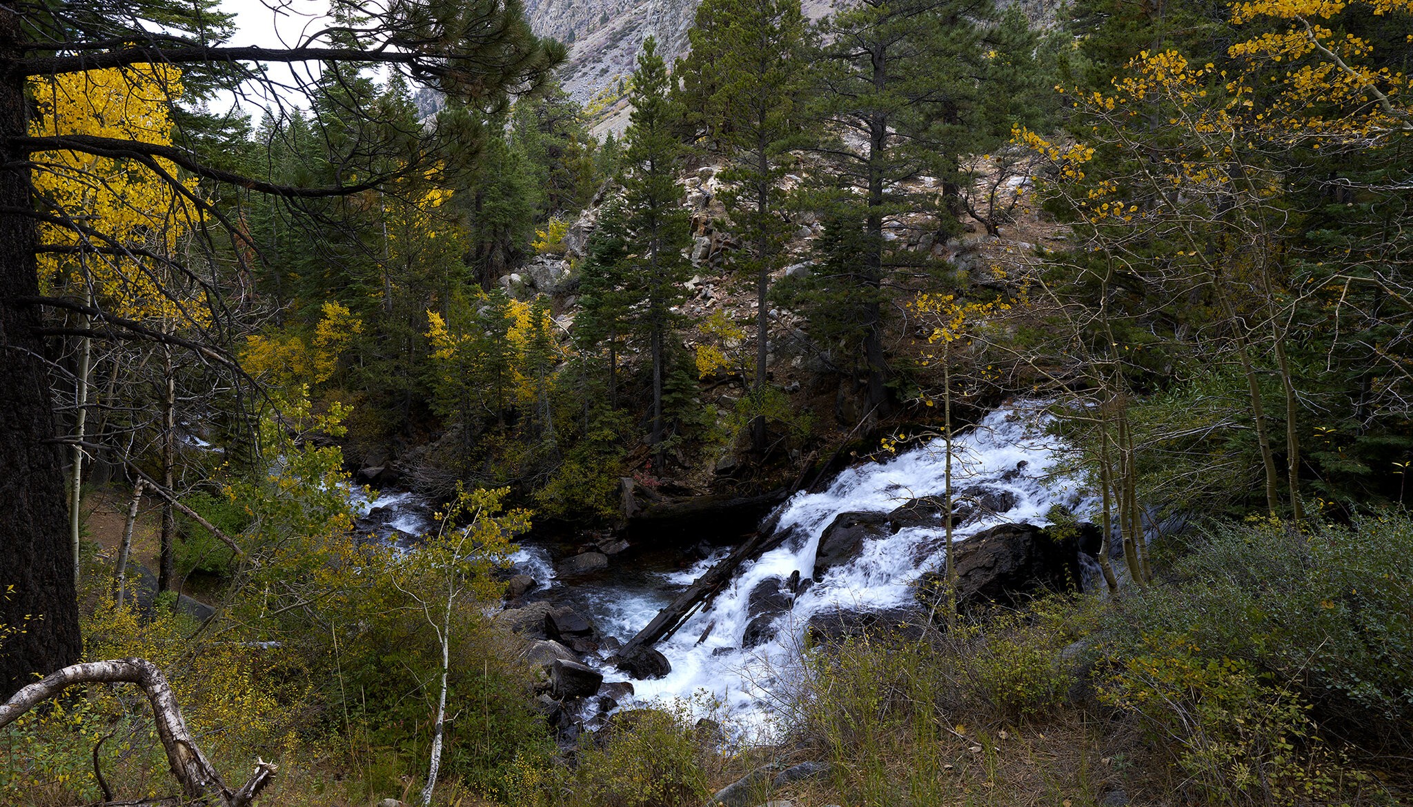 Le vining creek copy.jpg