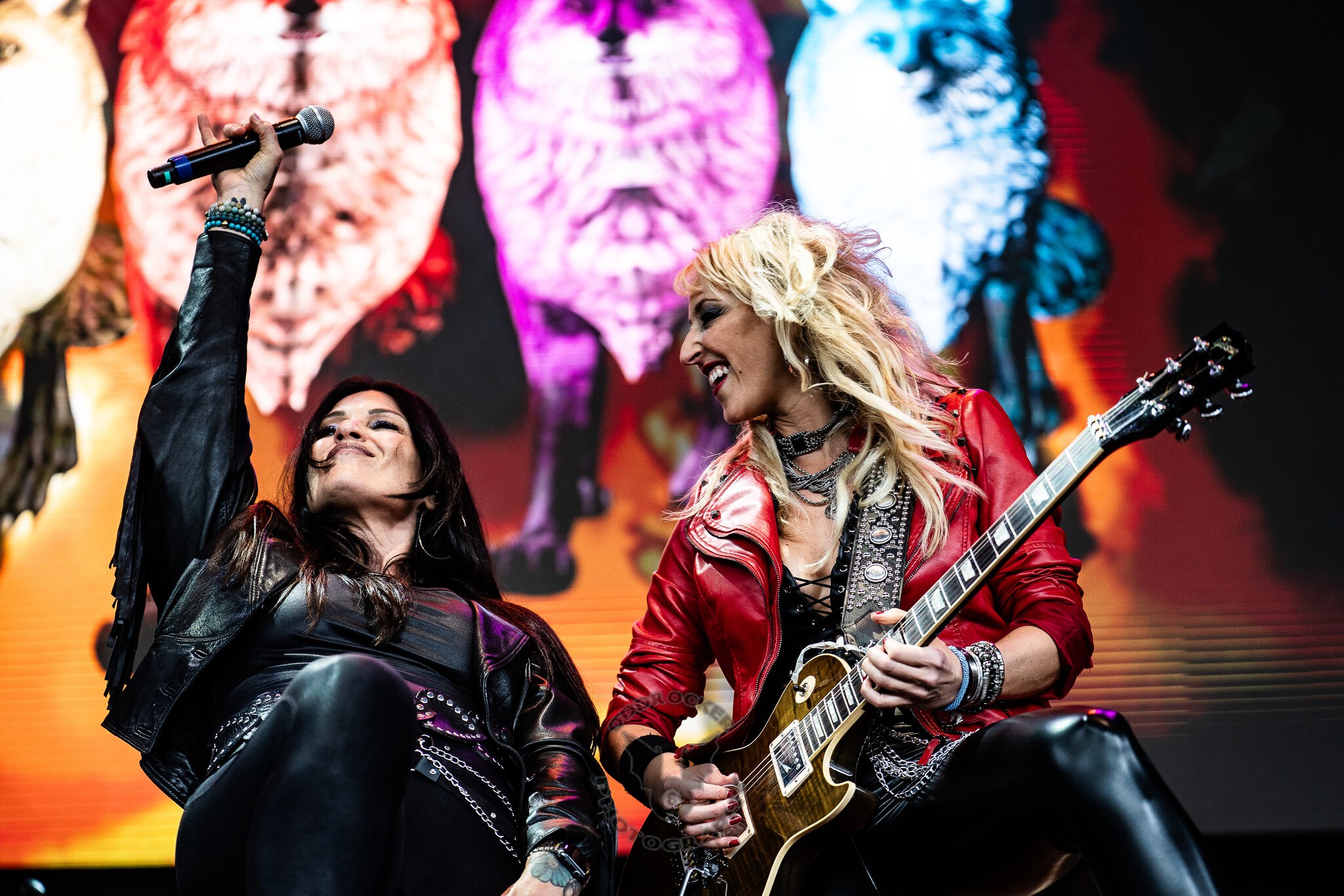 M3 Rock Festival 2025 - Day 3 - Vixen005.jpg