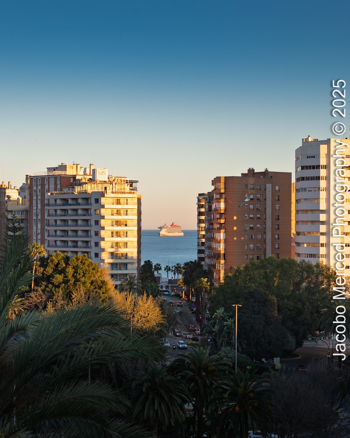 Malaga2025-1.jpg