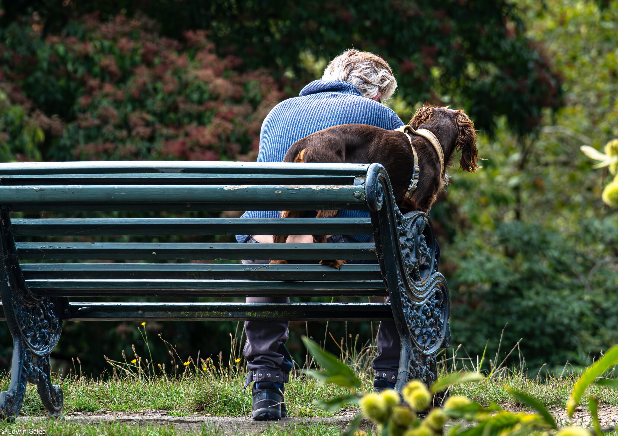 man and dog-1.jpg