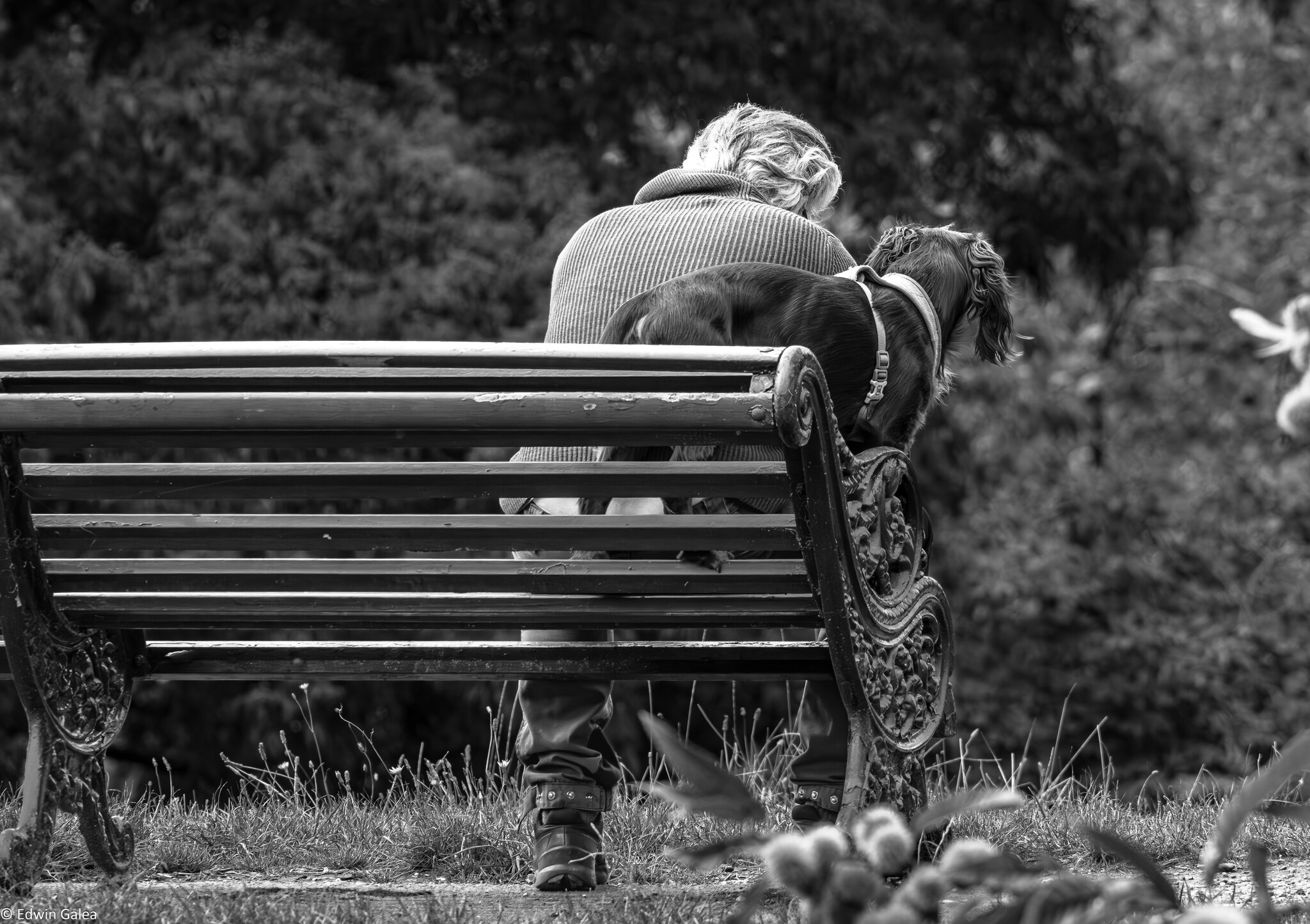 man and dog_bw_LC-1.jpg