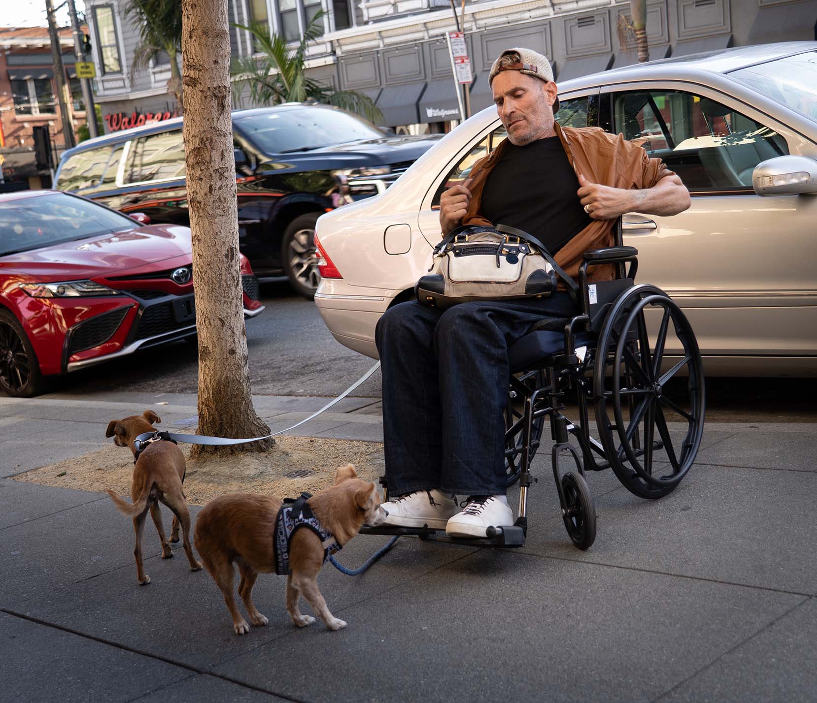 Man in Wheelchair with Two Dogs