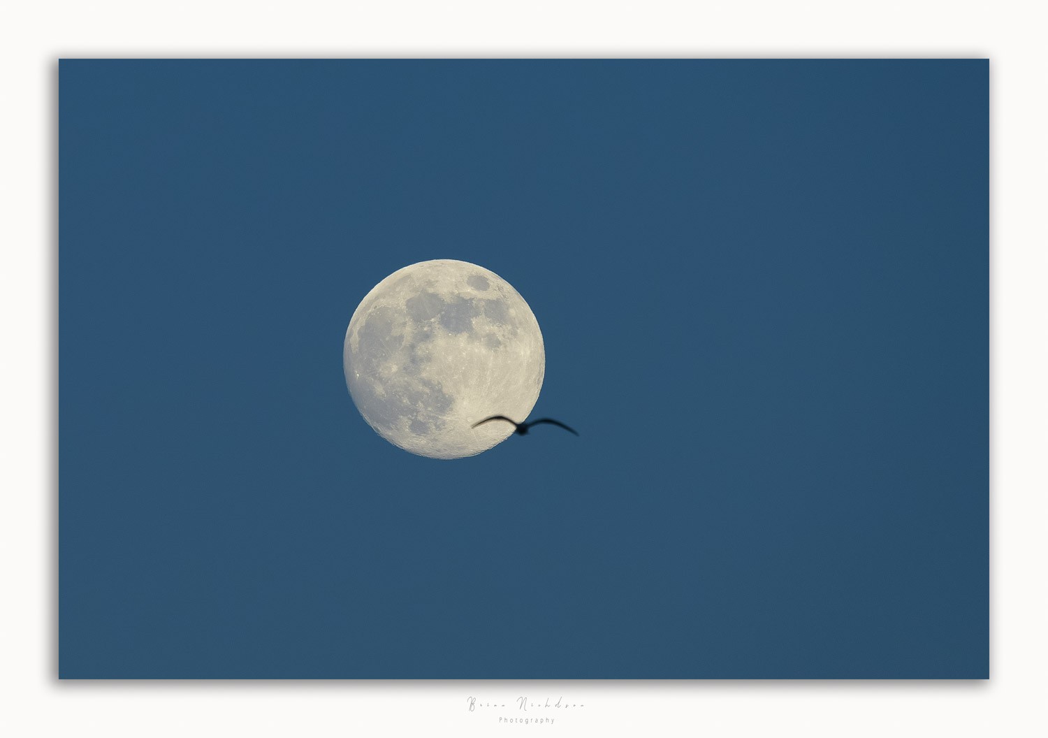 Moon Flight