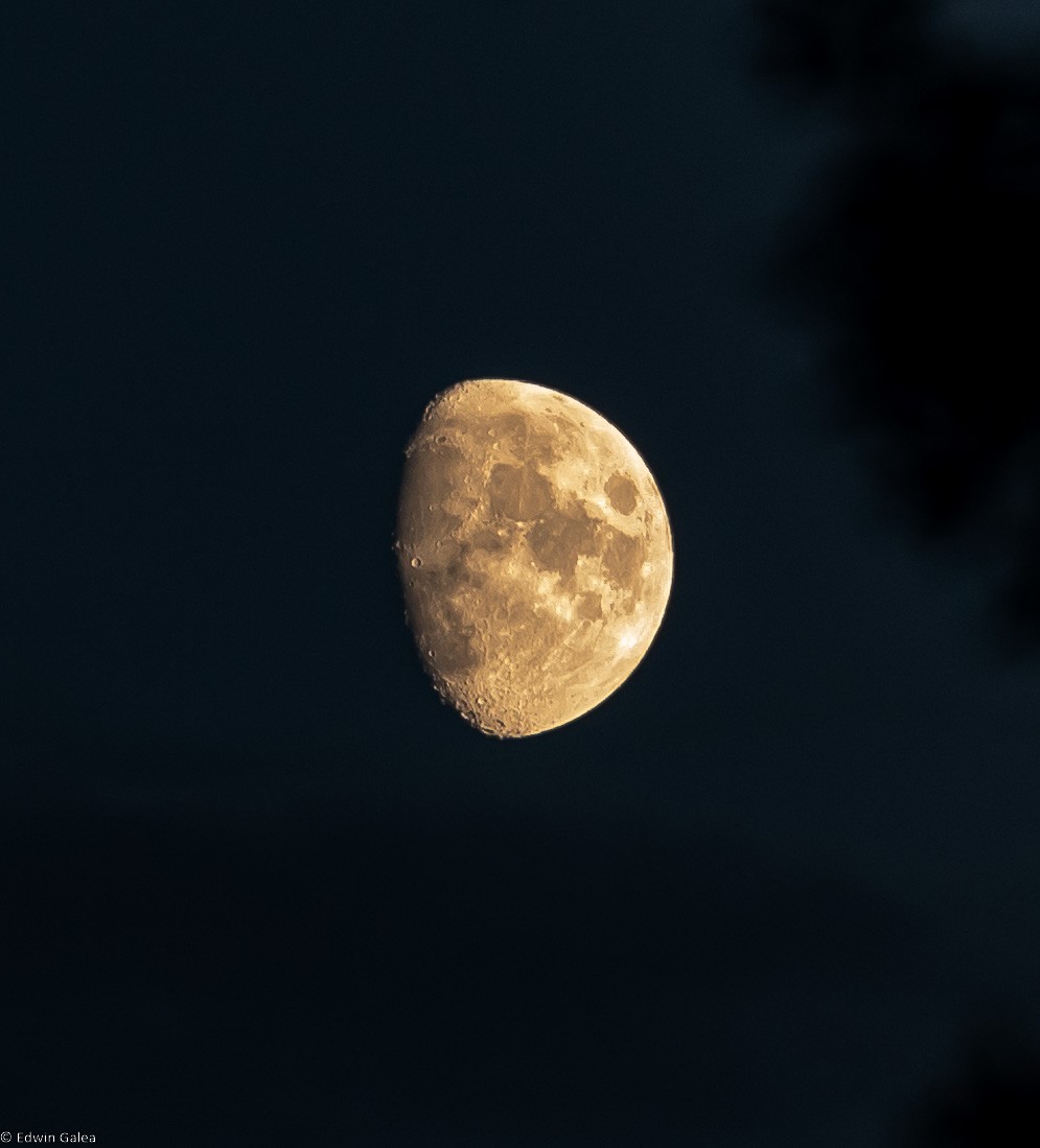 moon_3nov22-1.jpg