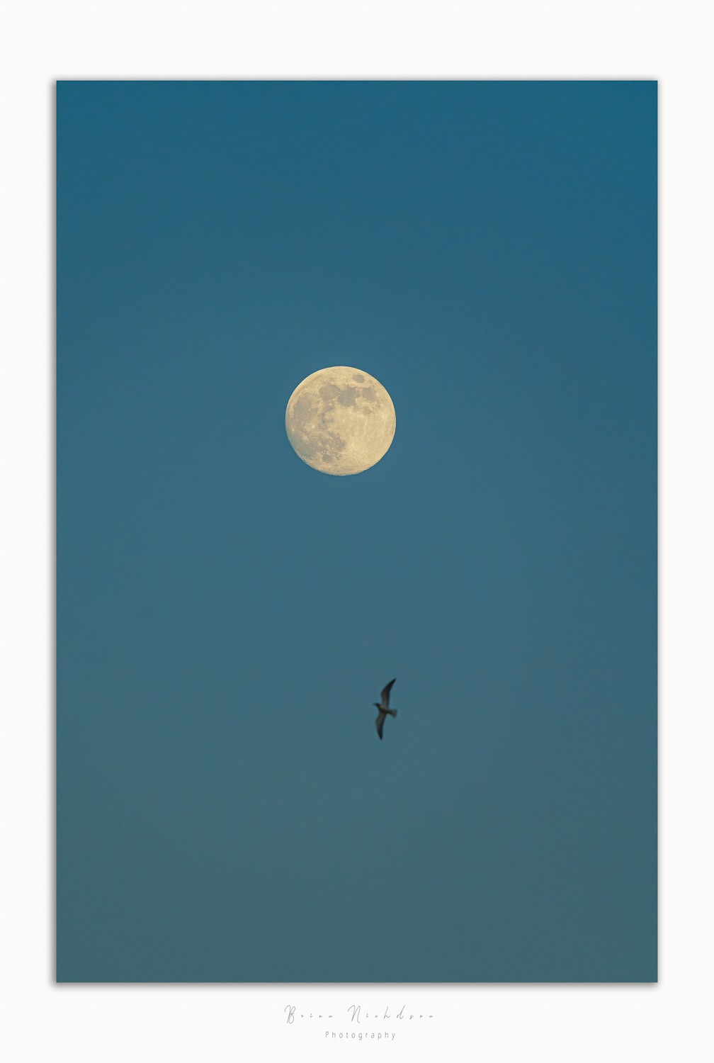 Moonflight 2