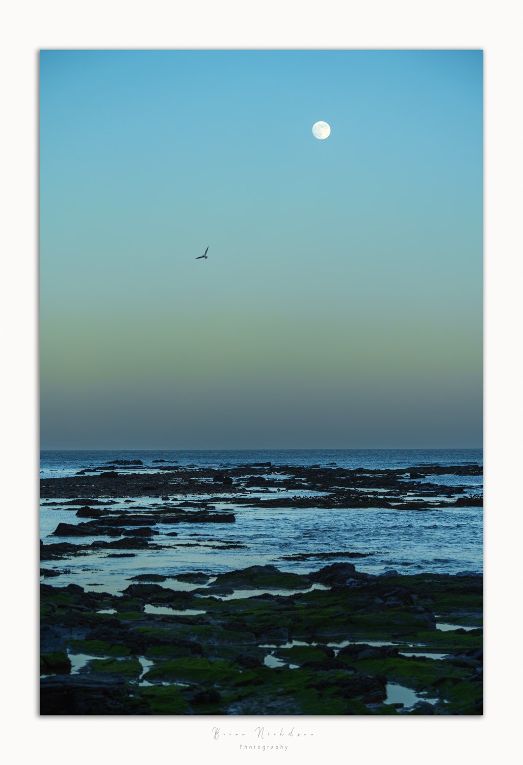 Moonflight 4