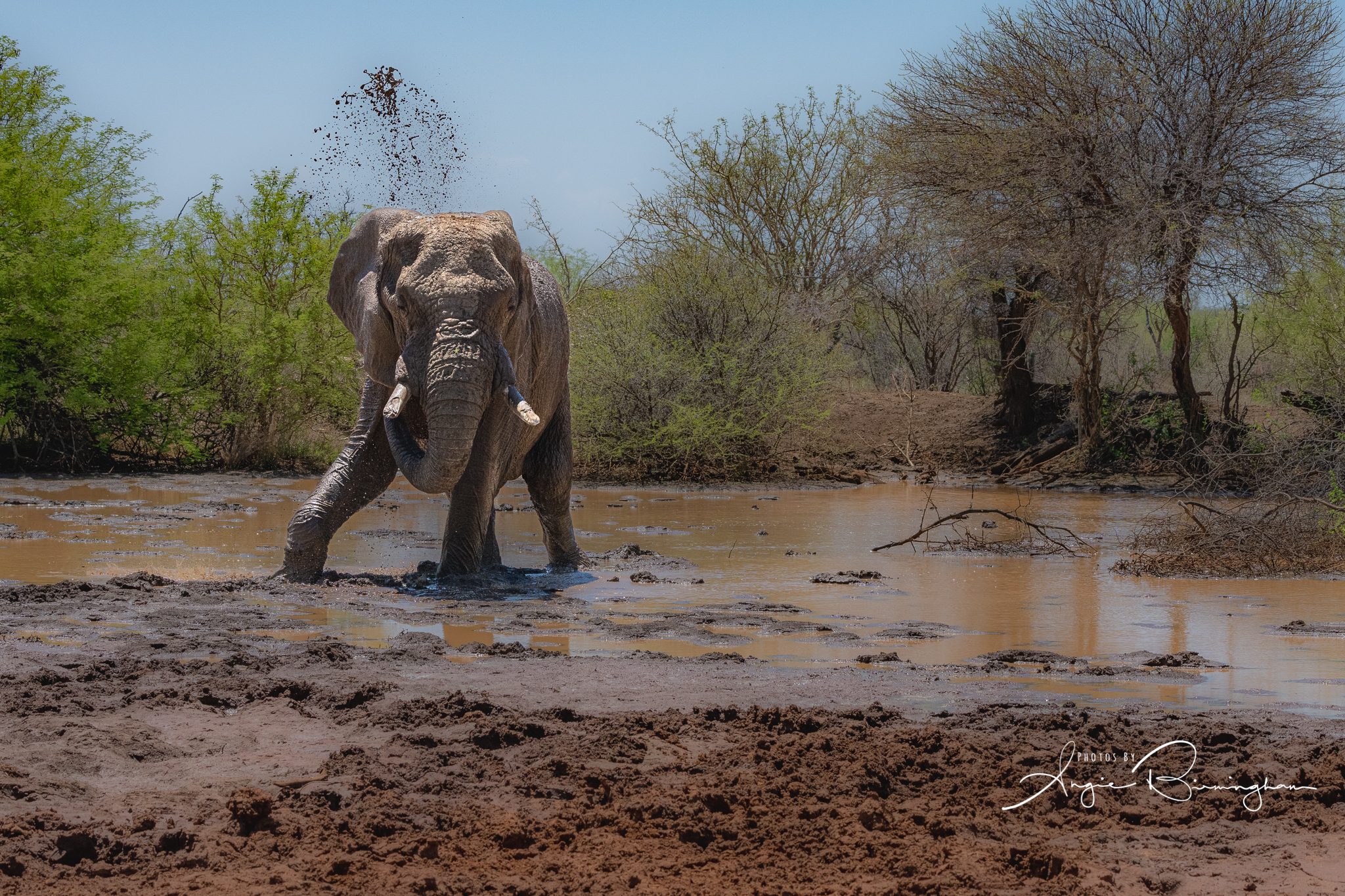 Mud Bath