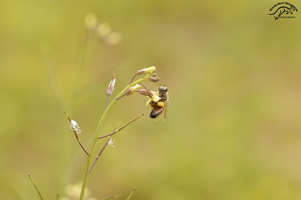 My Outing 16-08-2022 (1571).JPG