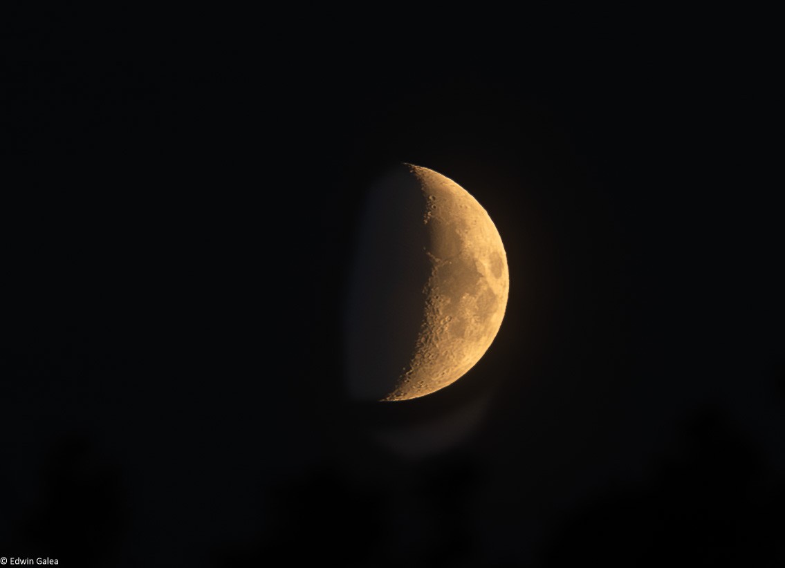 newforest_moon-1.jpg