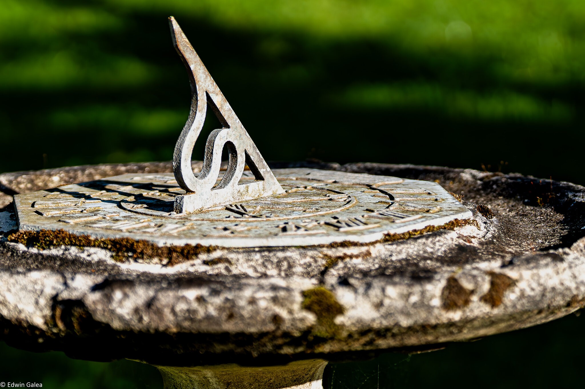 newforest_pig_sundial-3.jpg