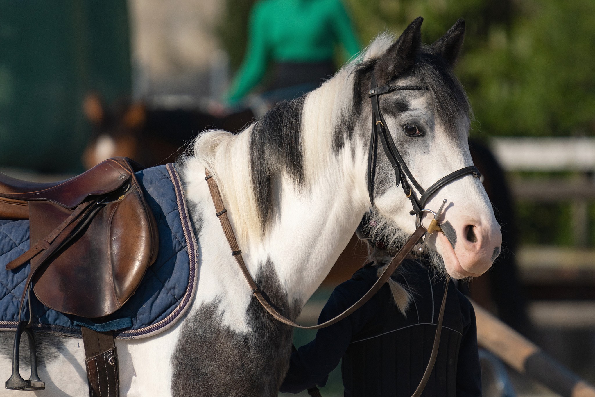 Nice encounter during a walk