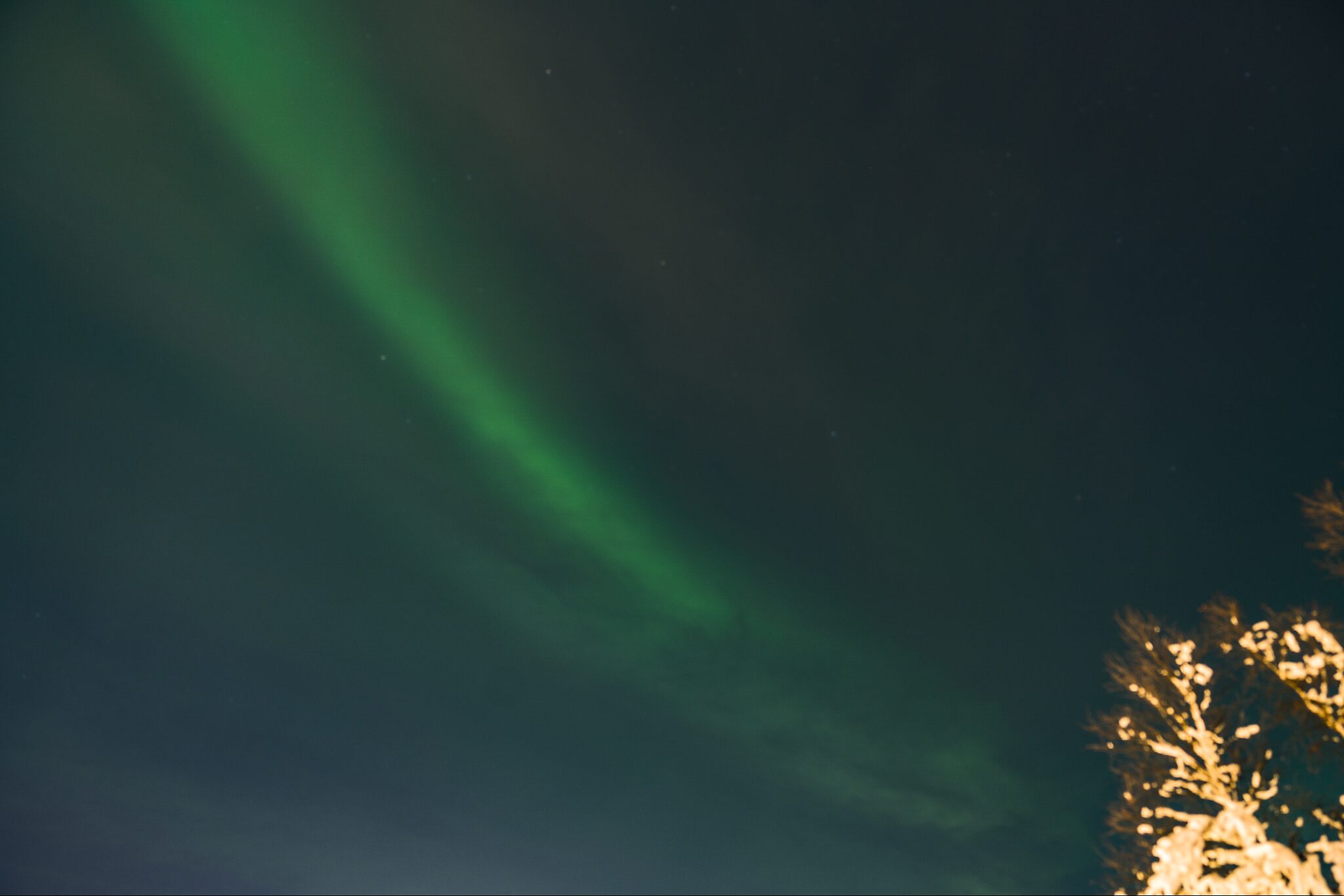 Northern Lights 2019 - Sweden 7.jpeg