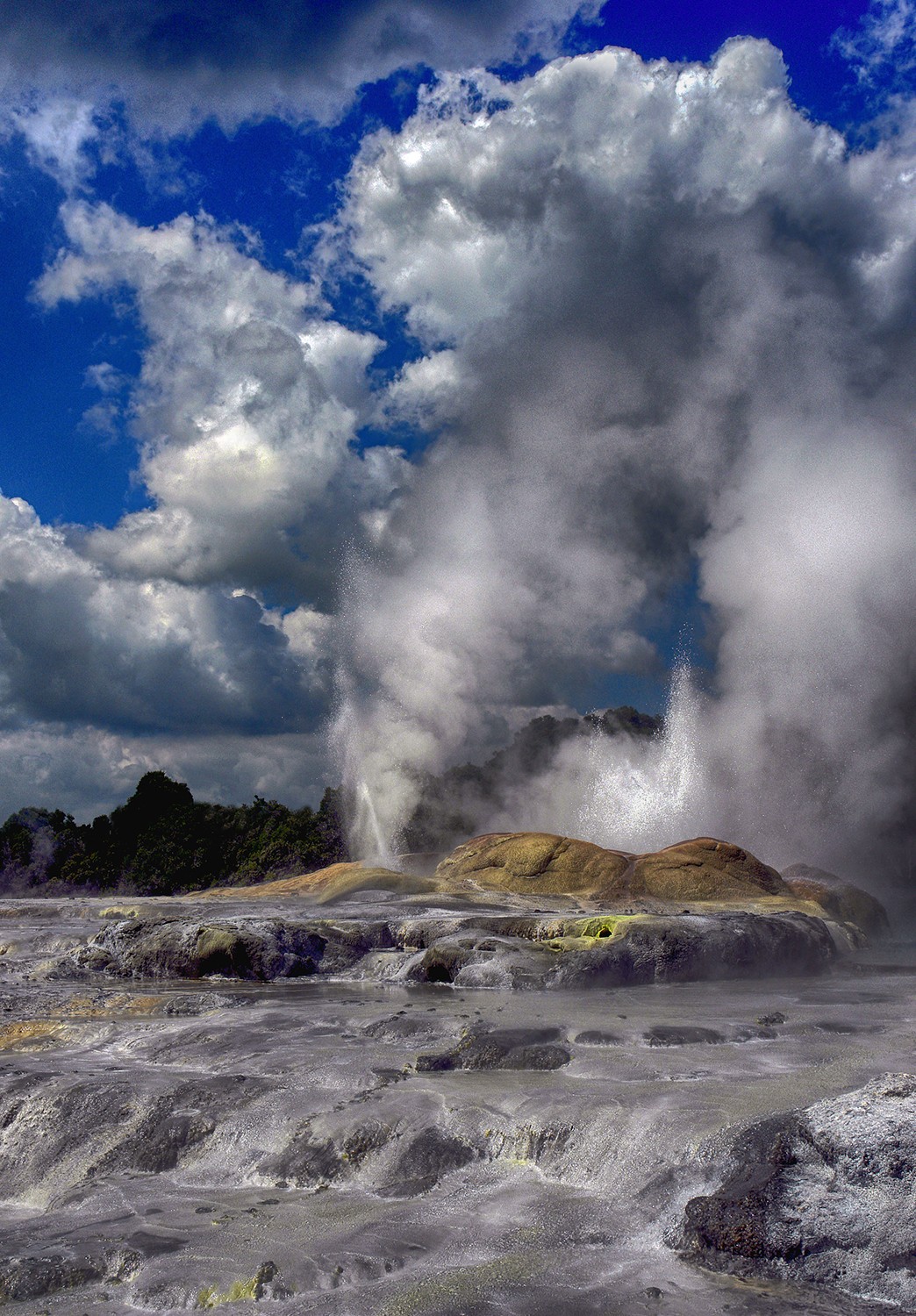 NZ geyser.jpg