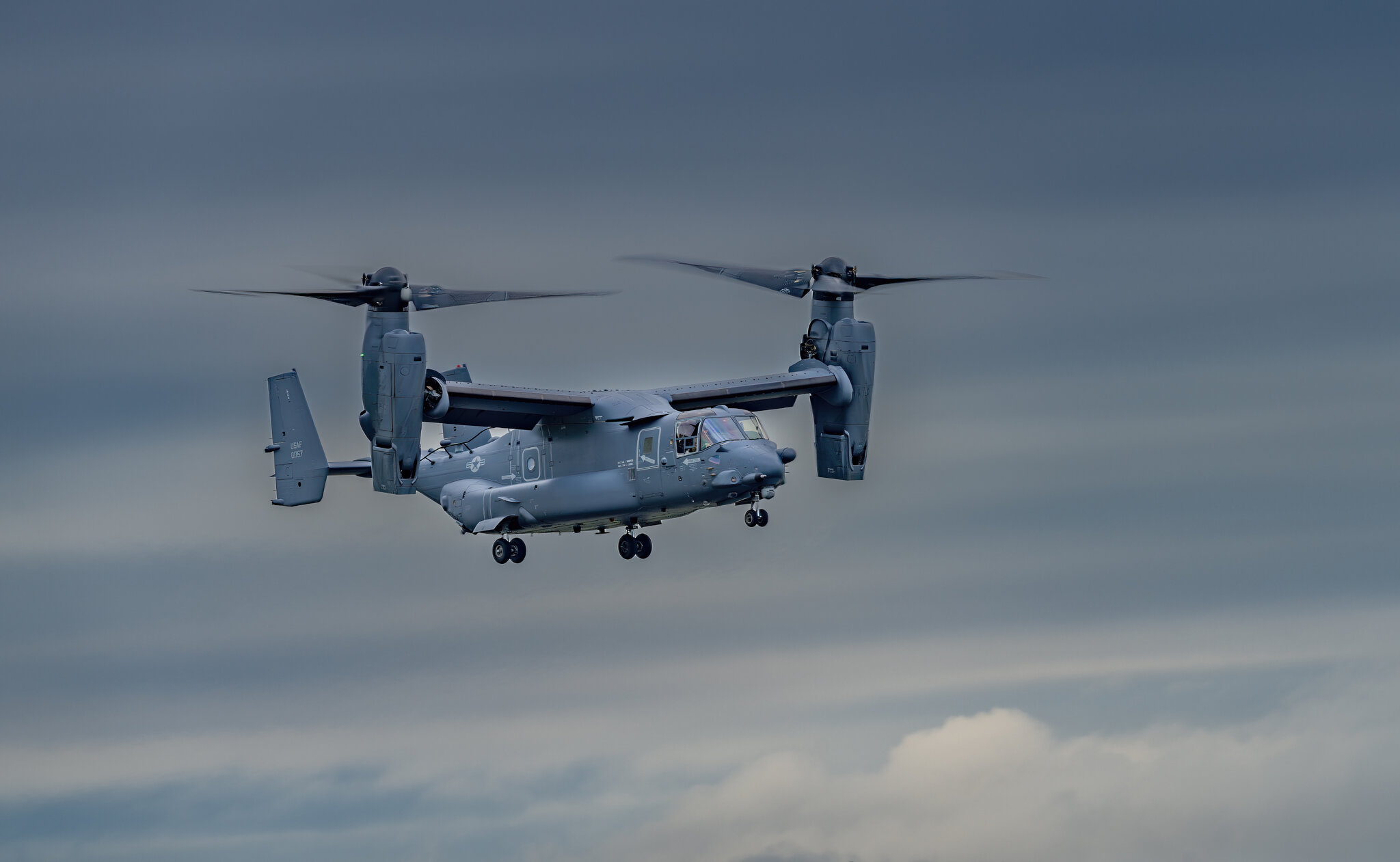 Osprey 1.jpg