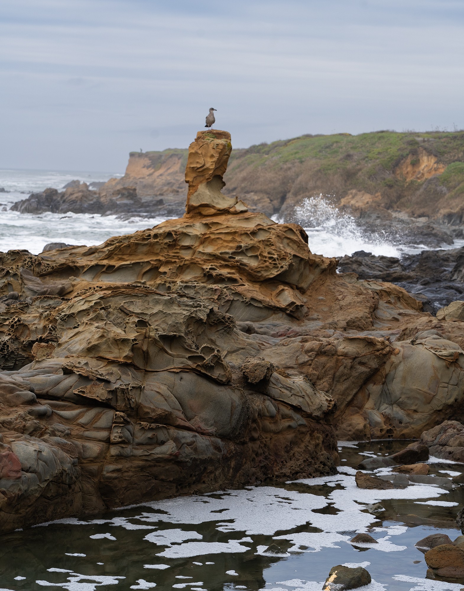 Pebble Beach-King for a Day