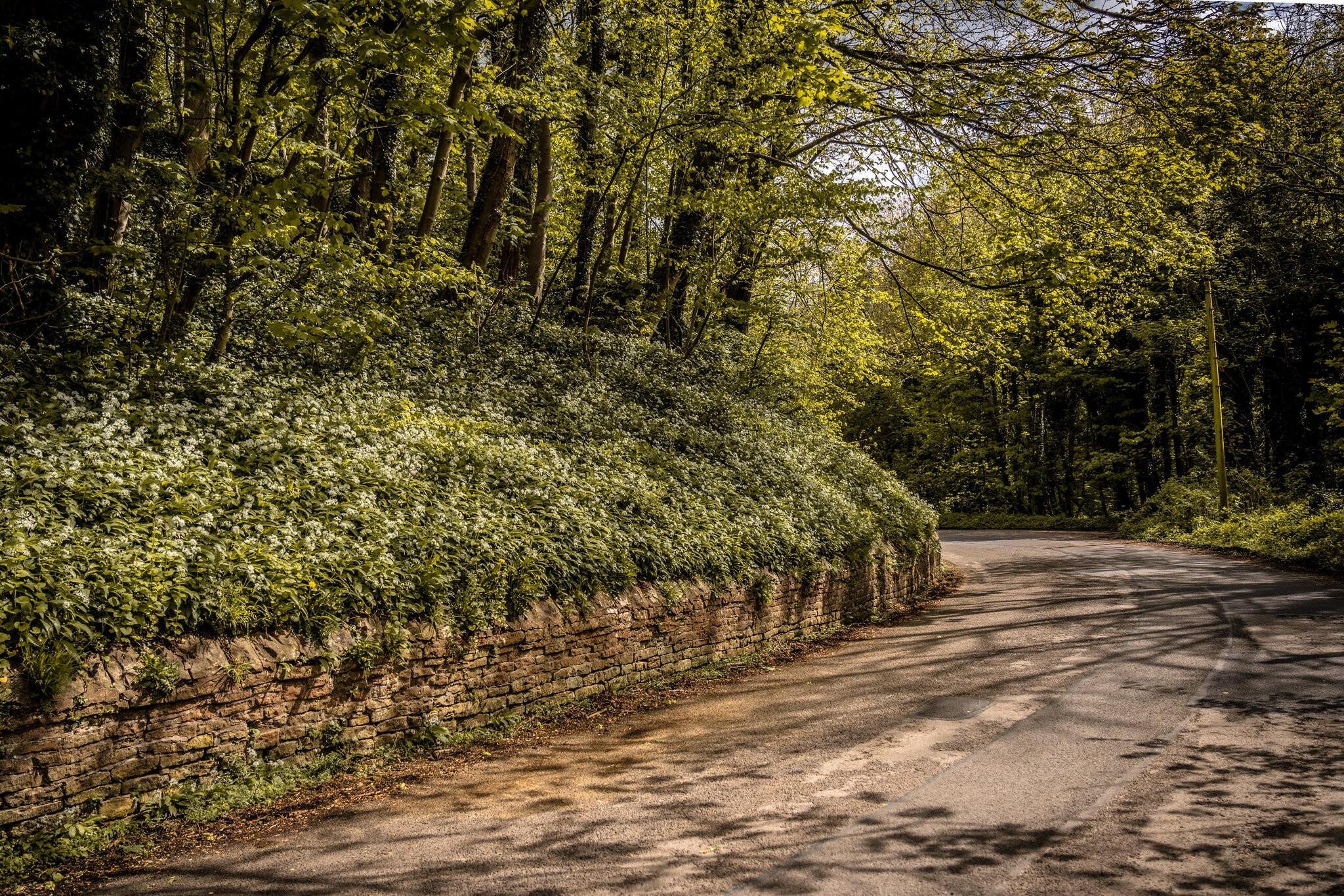 Pleasley Vale Mill Walk (7 of 19).jpg