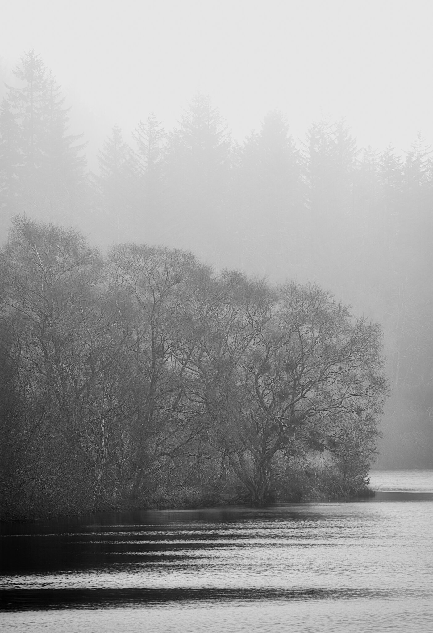 Portmore Reservoir.jpg