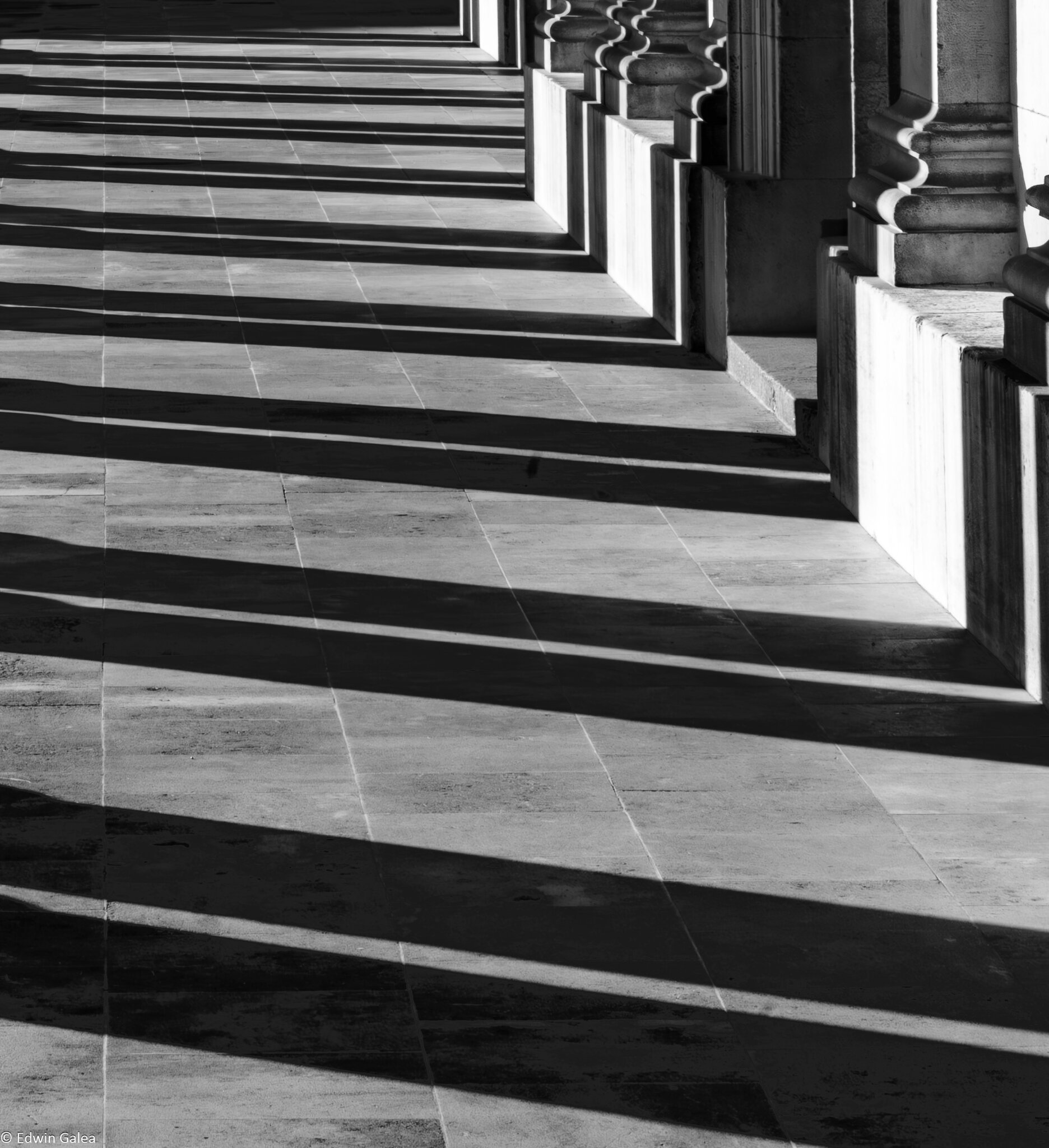 queen mary cloisters_bw-4.jpg