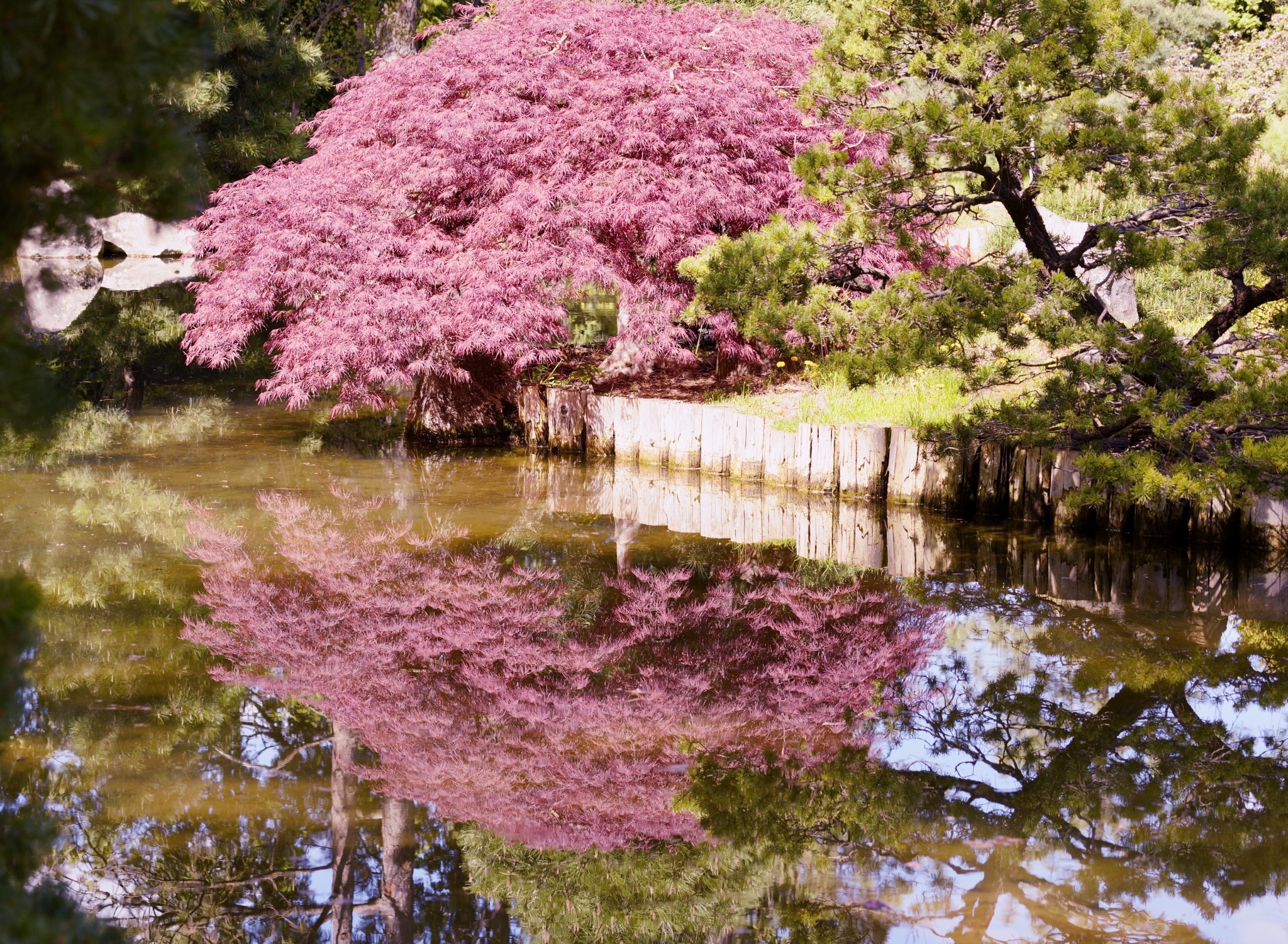 red_2048.JPG