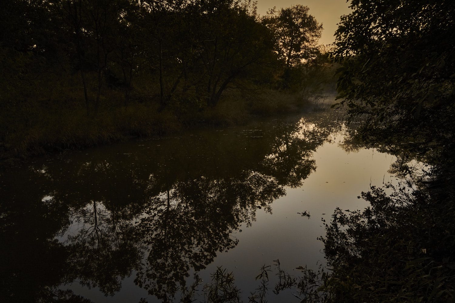 Reflection at Dawn