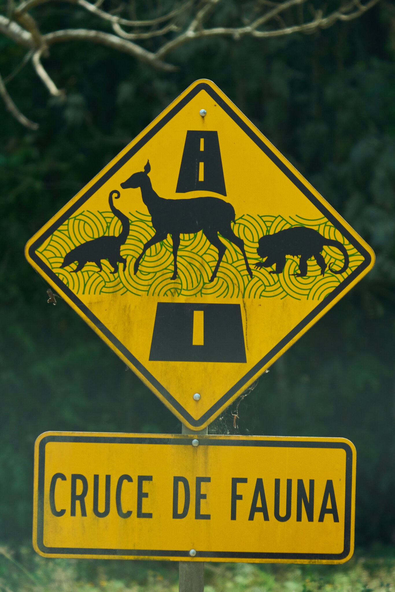 Road sign 1.jpg