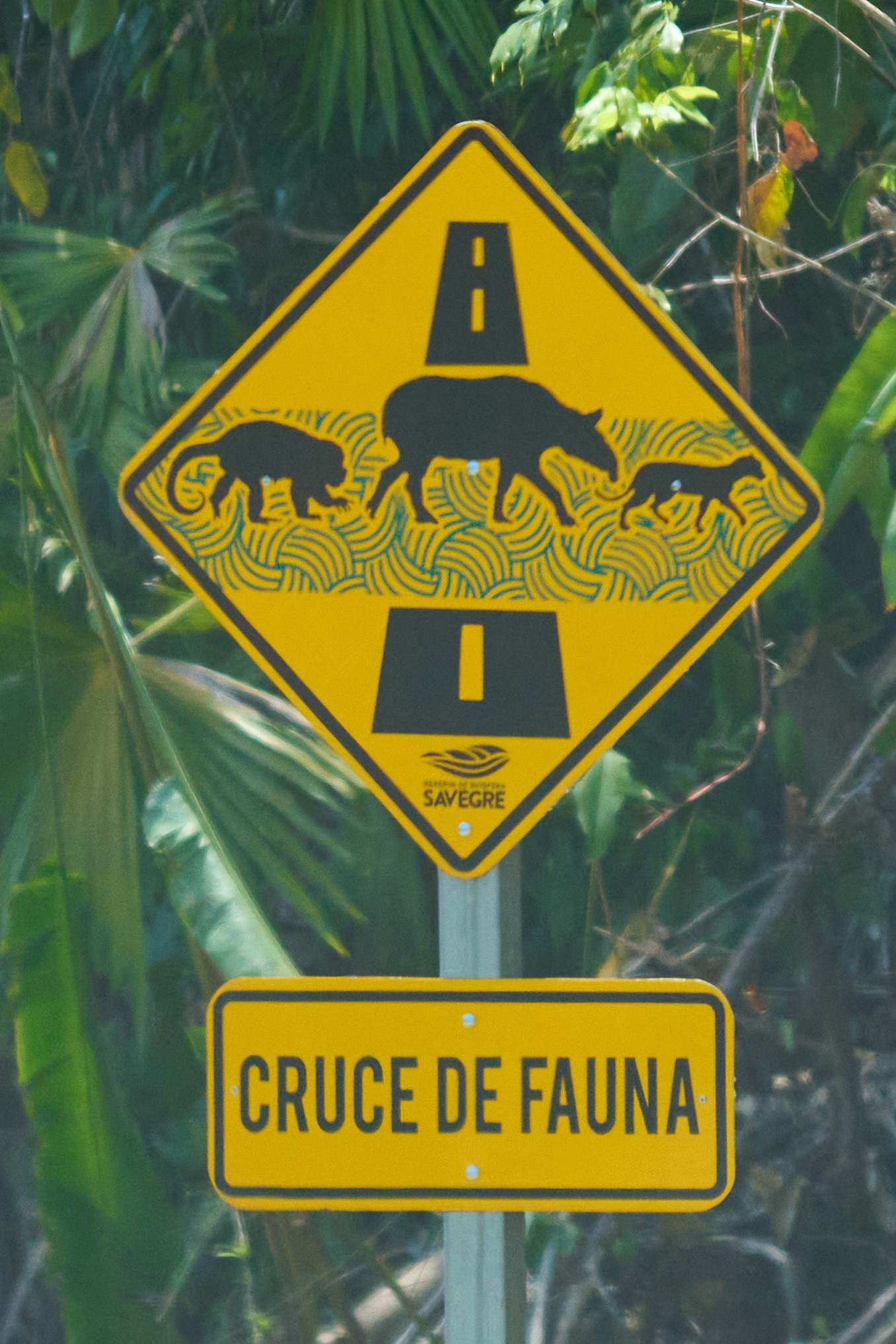 Road sign 5.jpg