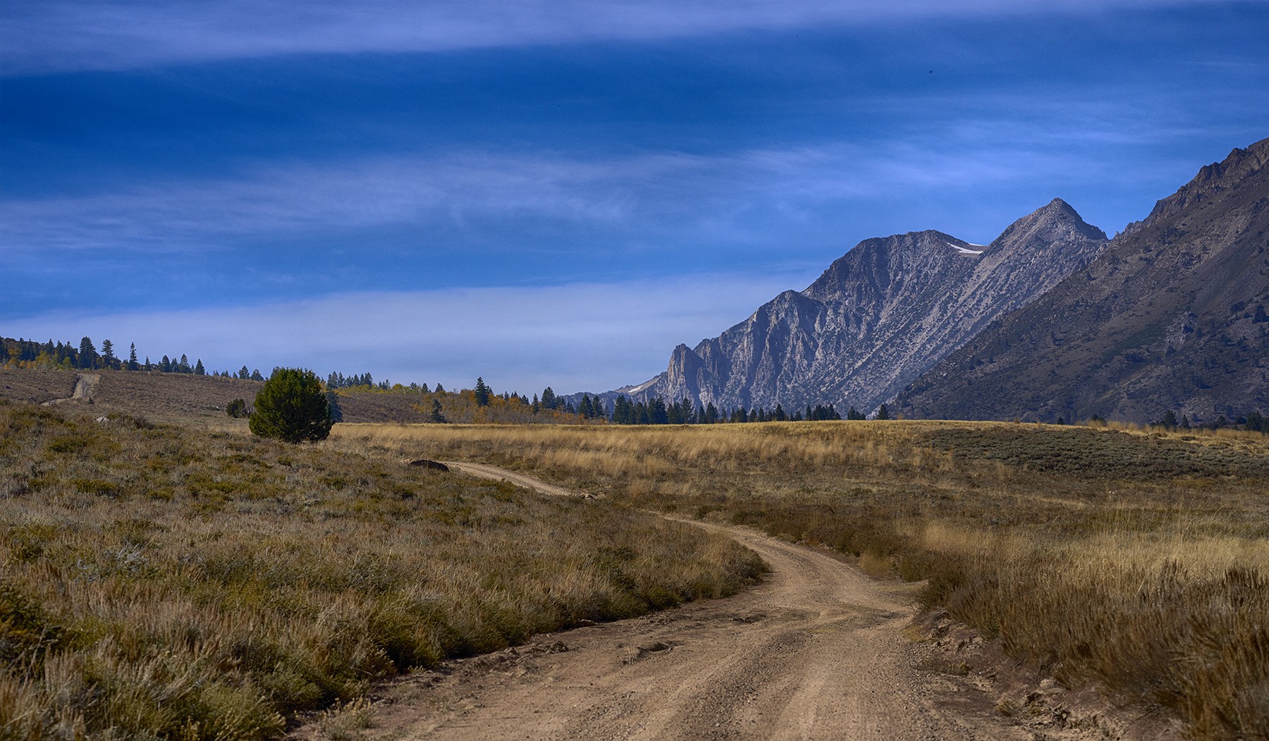 Road with lift copy.jpg