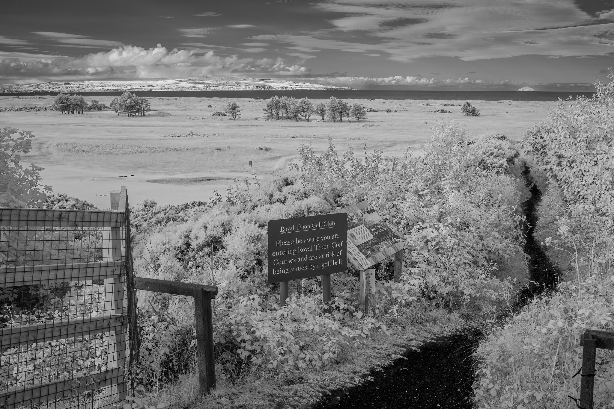 Royal Troon Golf Club .jpg