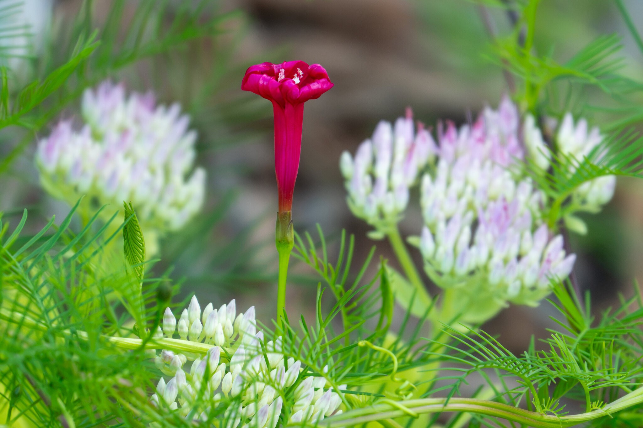 RX_00153.jpg