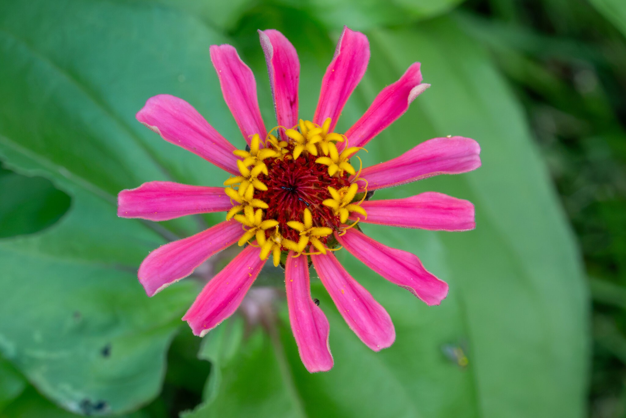 RX_00160.jpg
