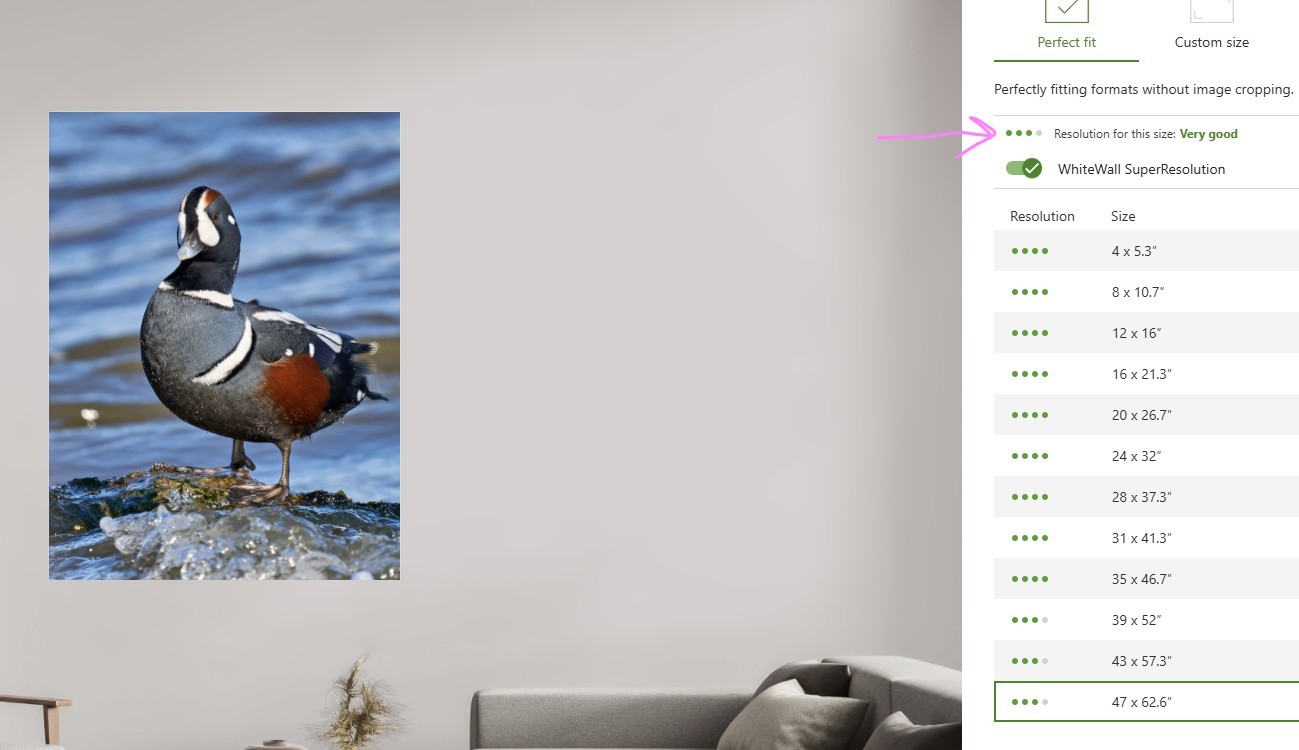 Screenshot 2026-02-25 161906.jpg