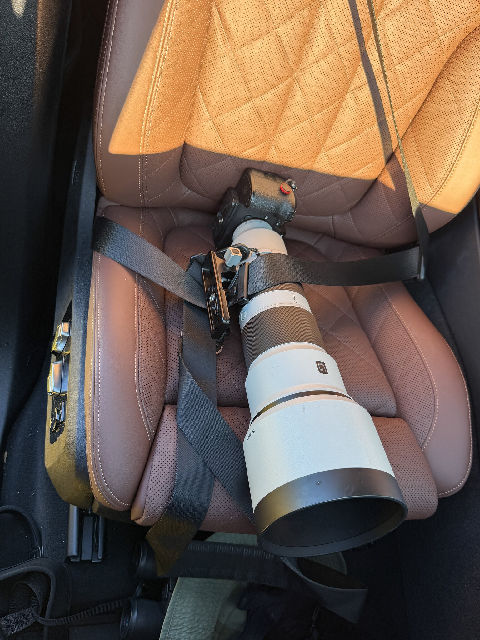seatbelt01.jpg