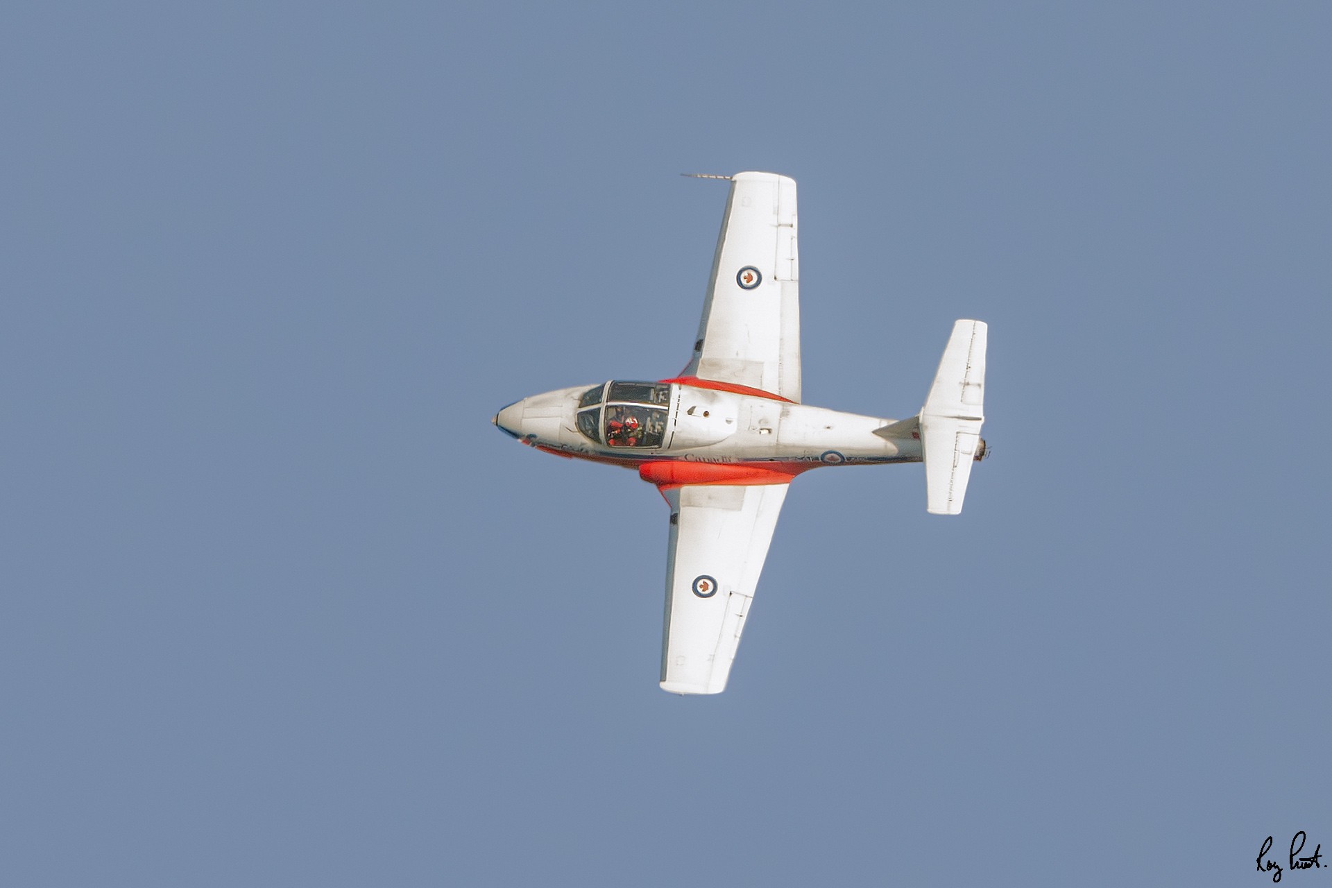 Snowbird_DSC8675.jpg