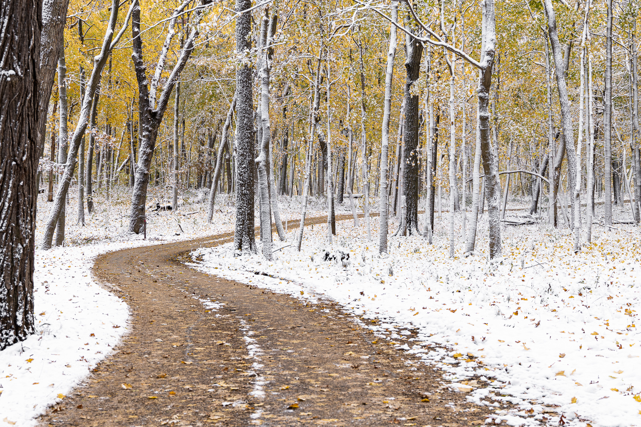 Snowy winding road